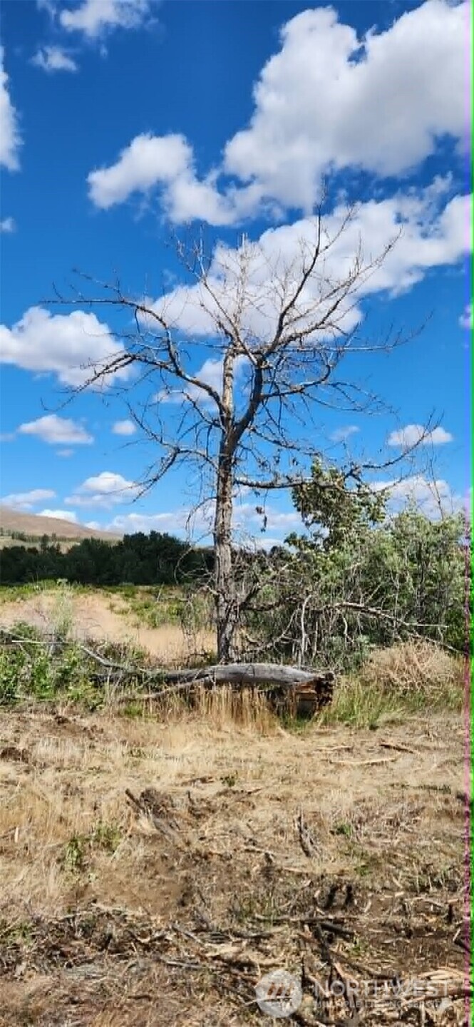 0 Xxx Lake Naches Dr Property Photo 10