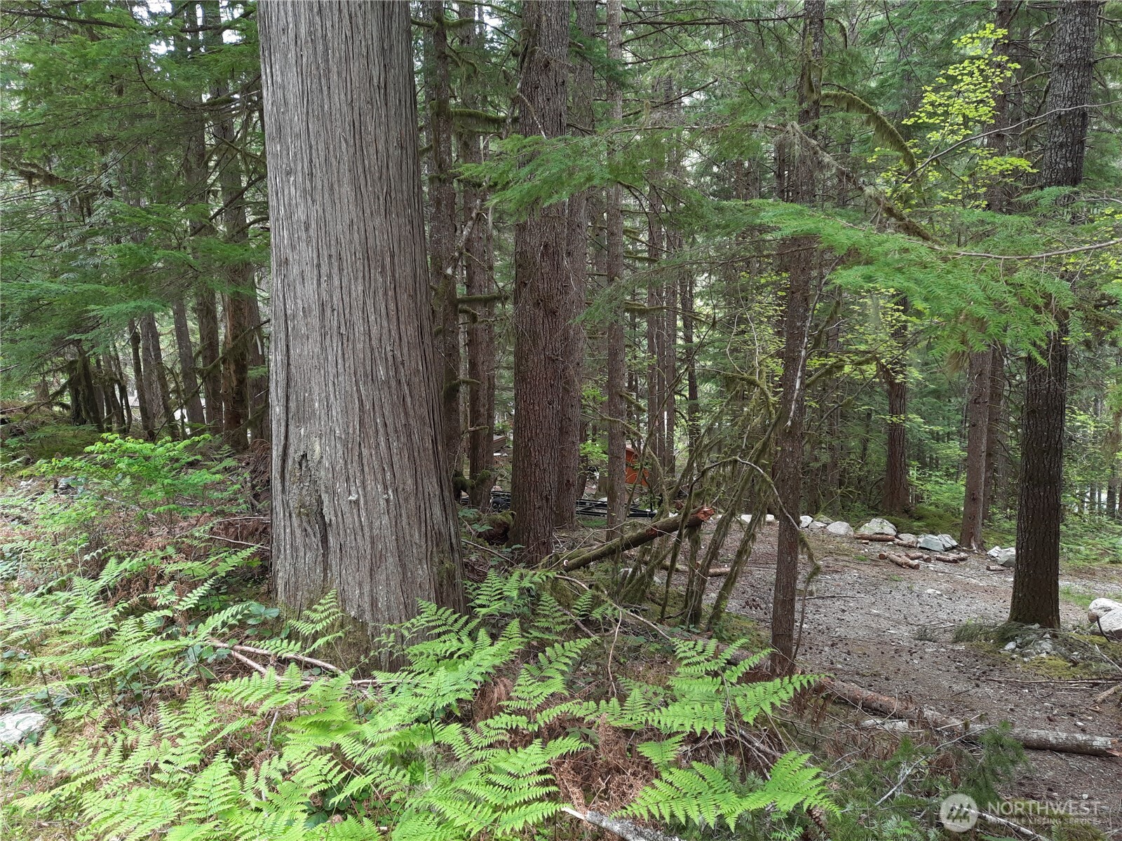 0 Cascade River Road Property Photo 1