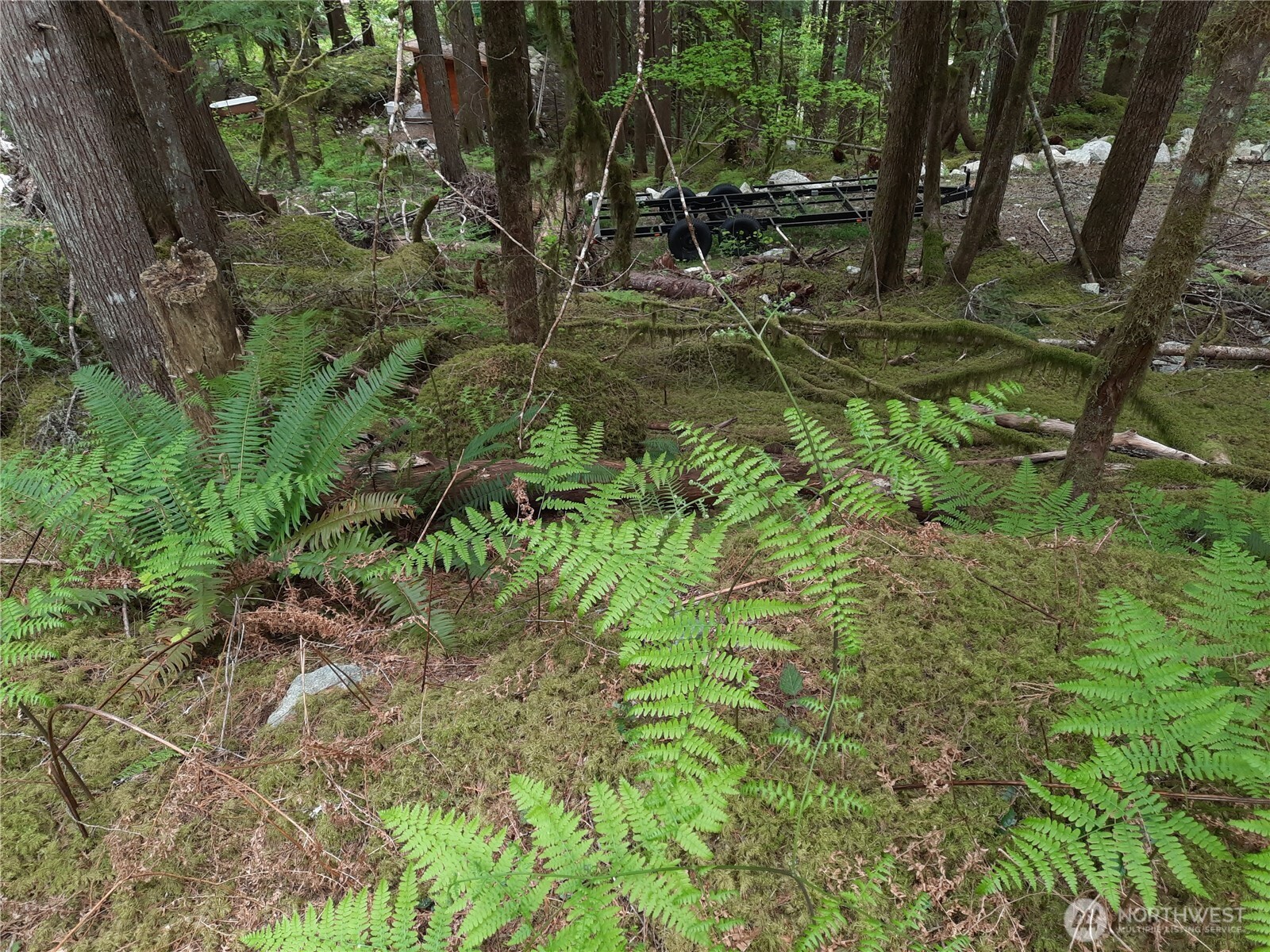0 Cascade River Road Property Photo 3
