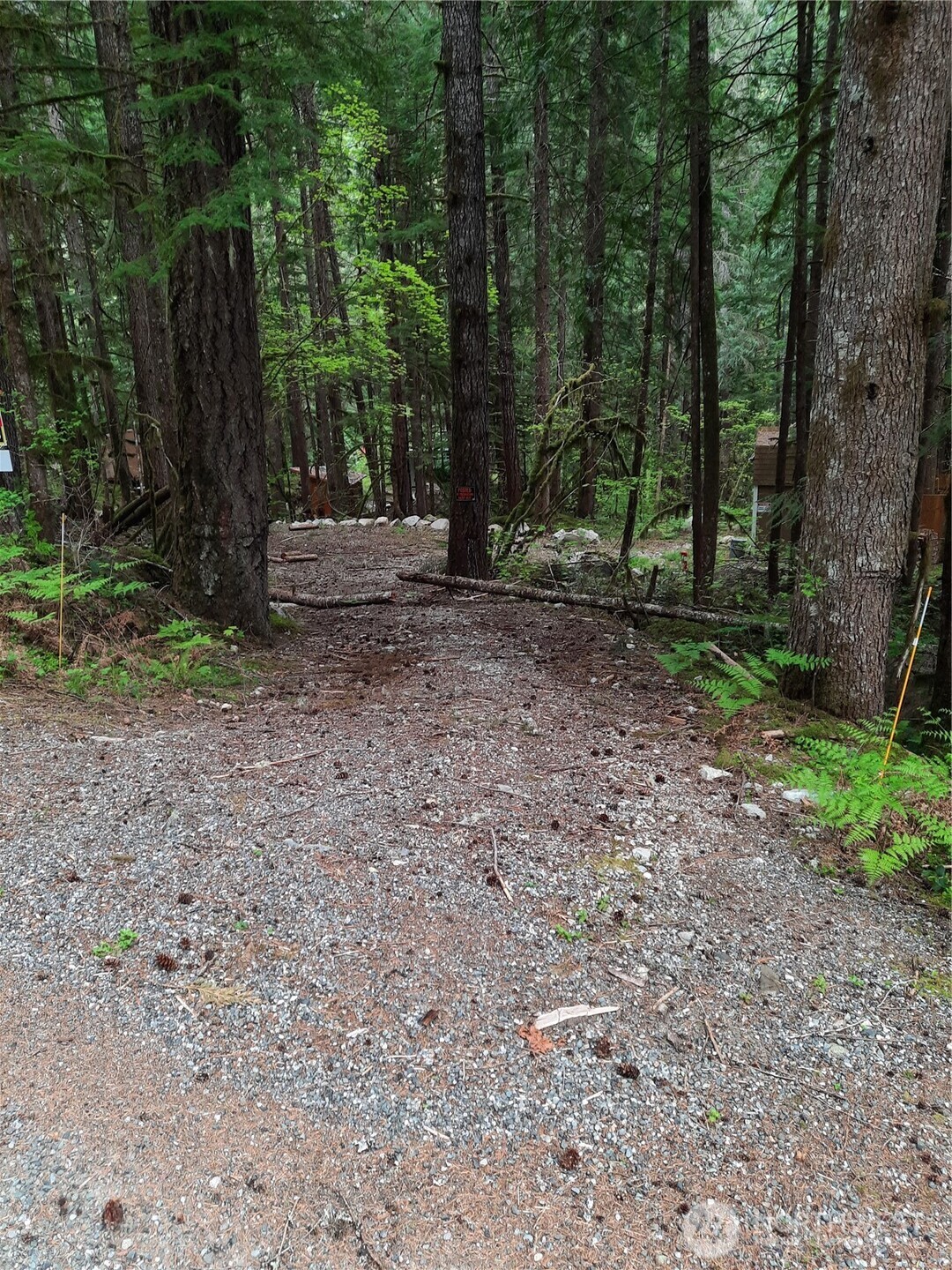 0 Cascade River Road Property Photo 4