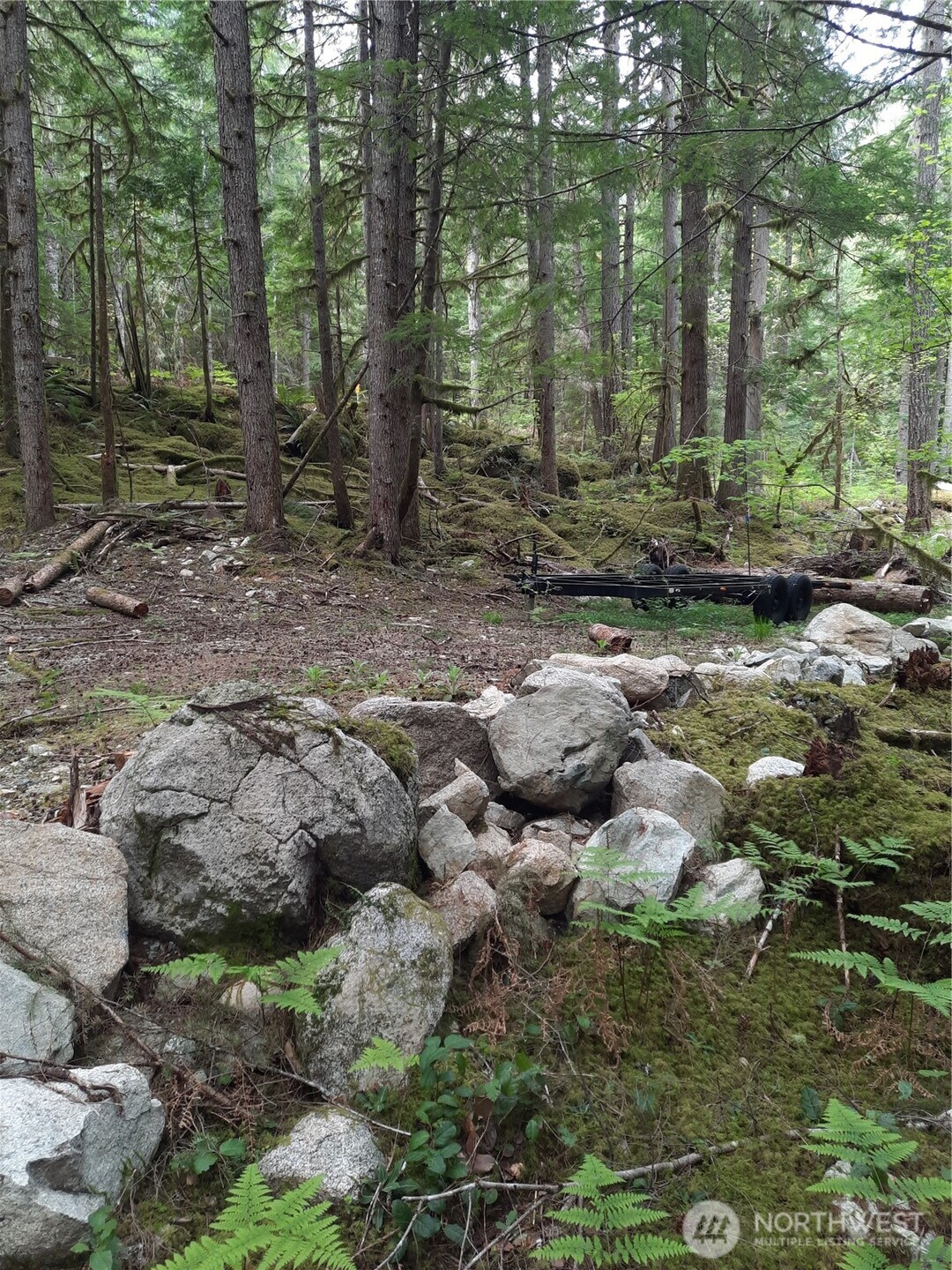 0 Cascade River Road Property Photo 5