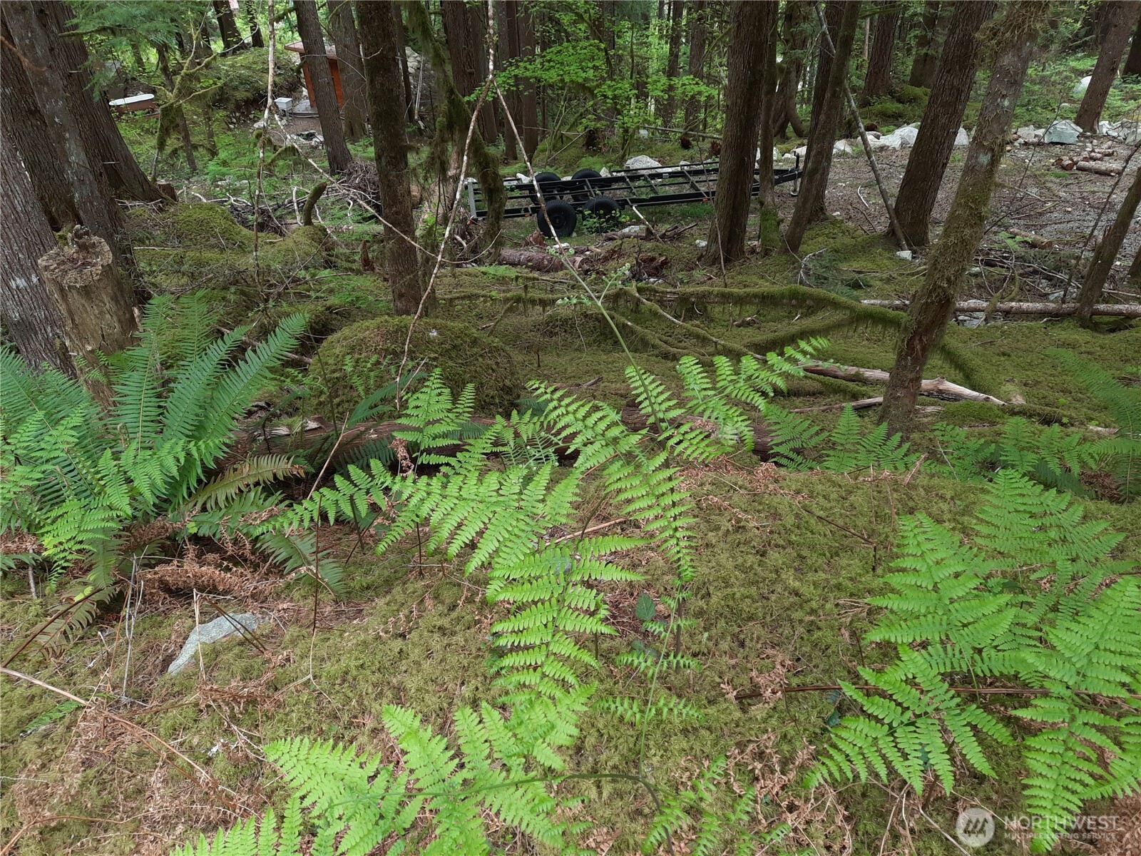 0 Cascade River Road Property Photo 9