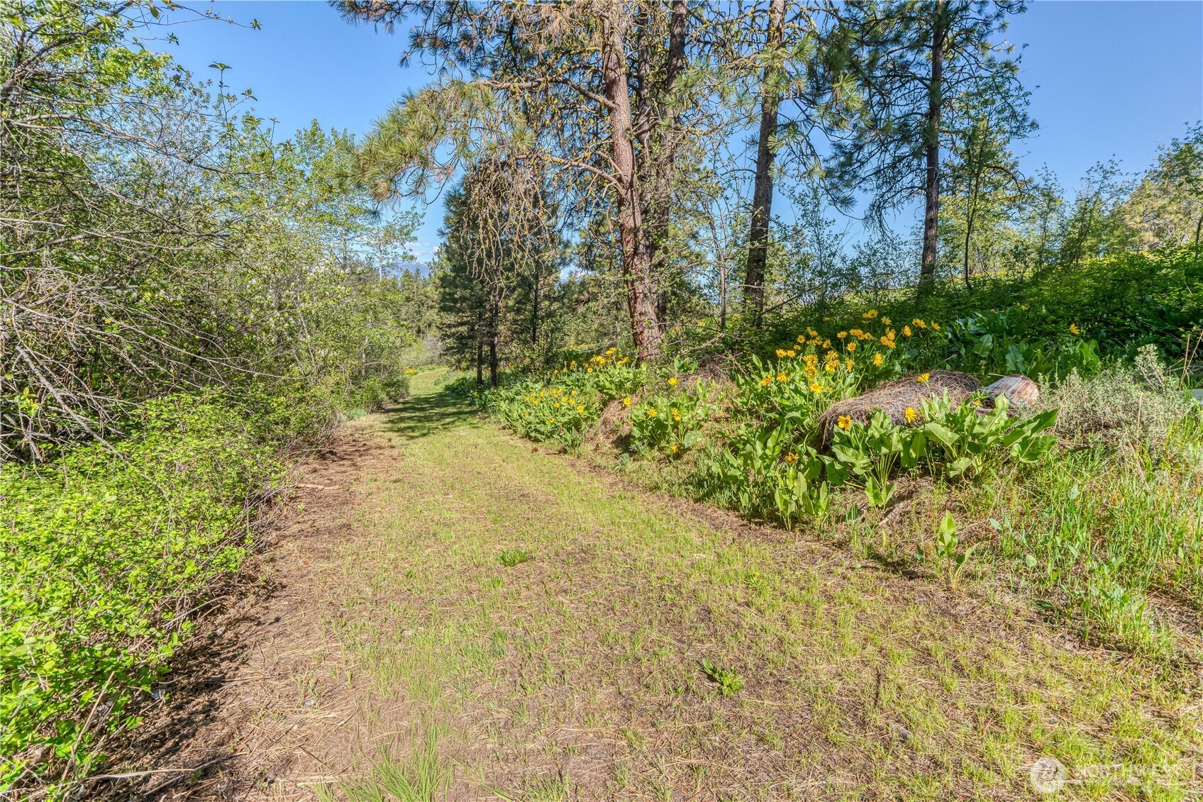 0 Sky Meadows Road Property Photo 4