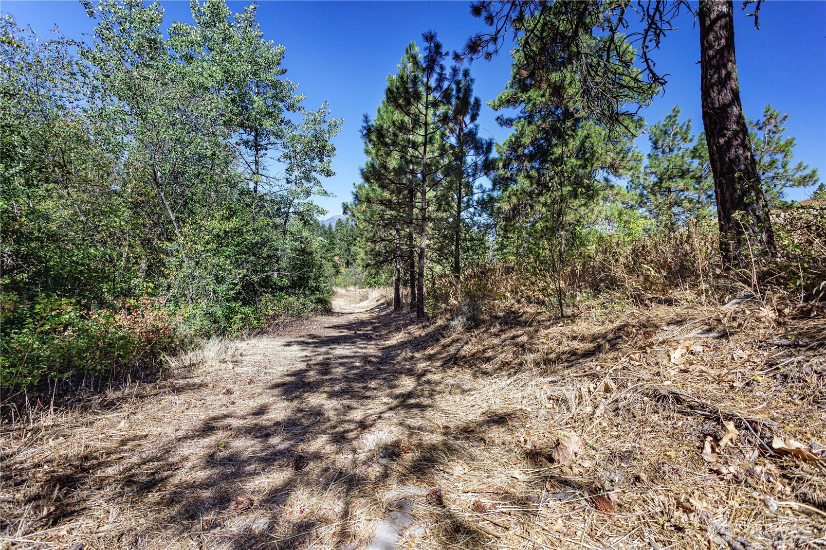 0 Sky Meadows Road Property Photo 30
