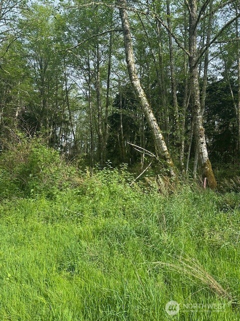 12 Ander Park Road Property Photo 3