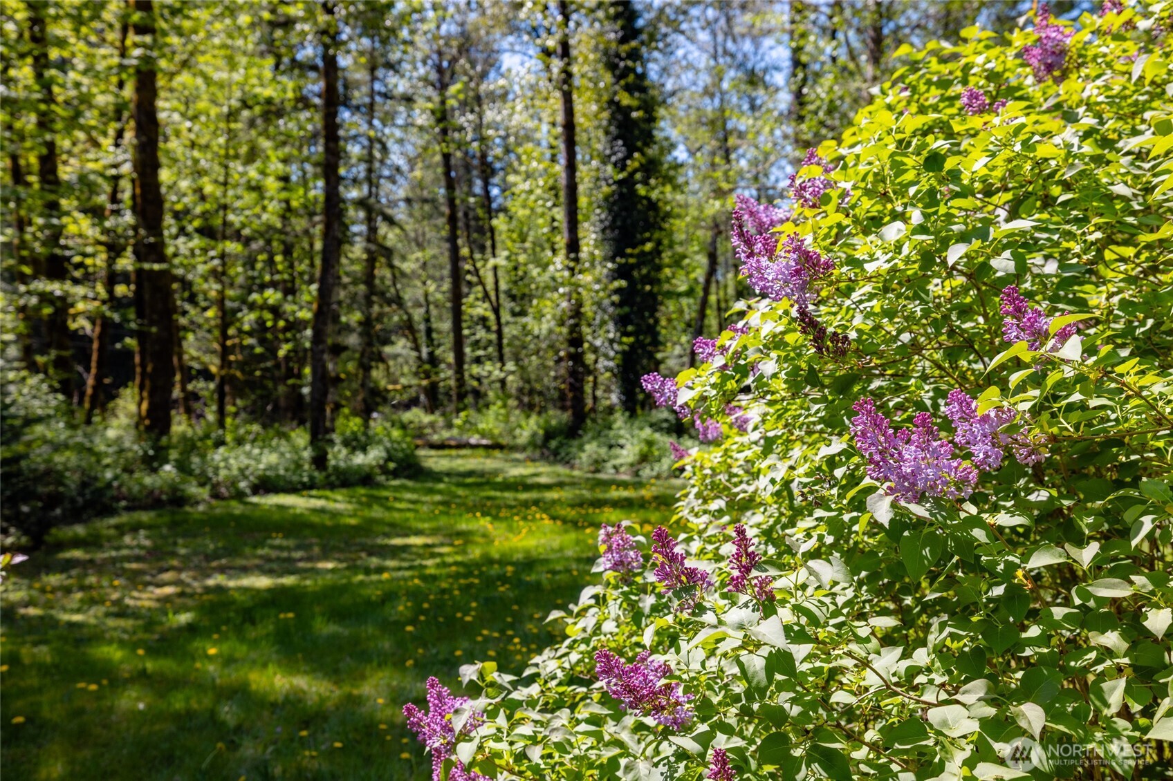 57255 State Route 20 Property Photo 8