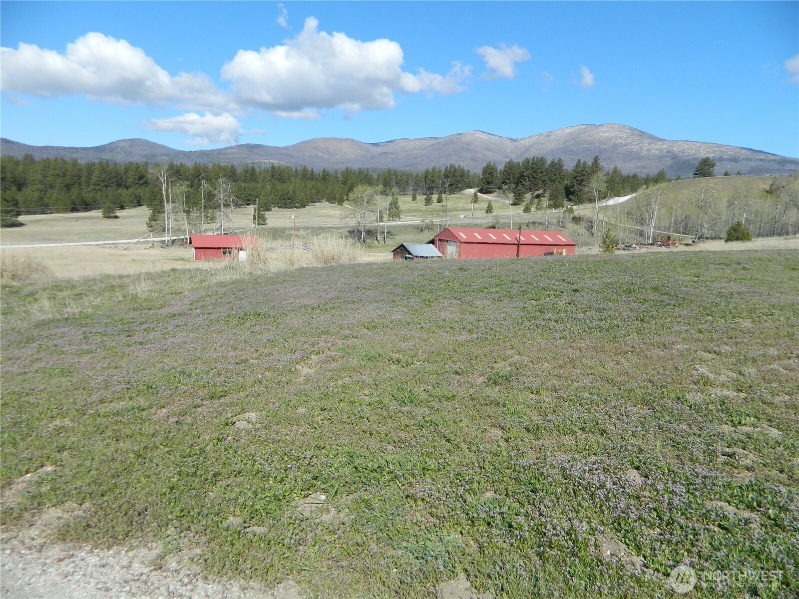 100 Summer Road Property Photo 4