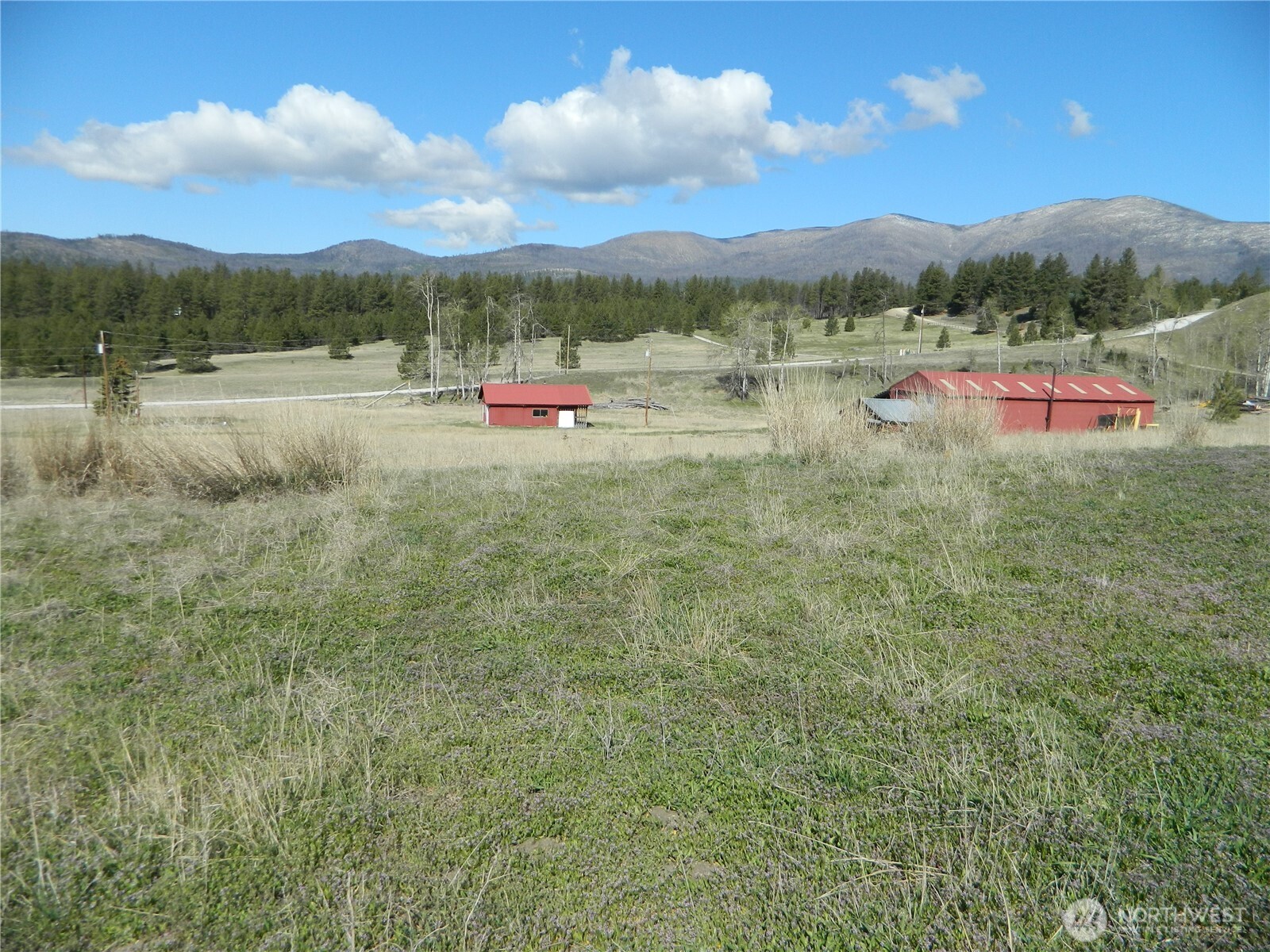 100 Summer Road Property Photo 5