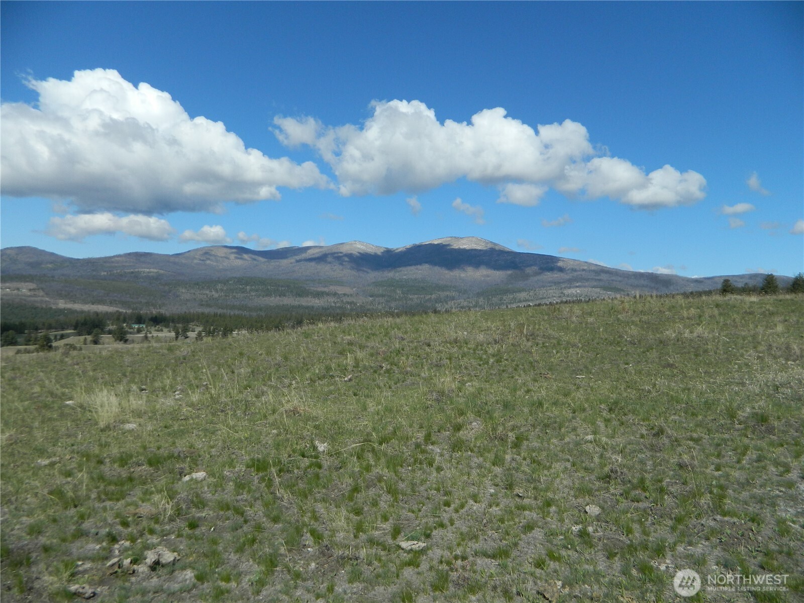 100 Summer Road Property Photo 26
