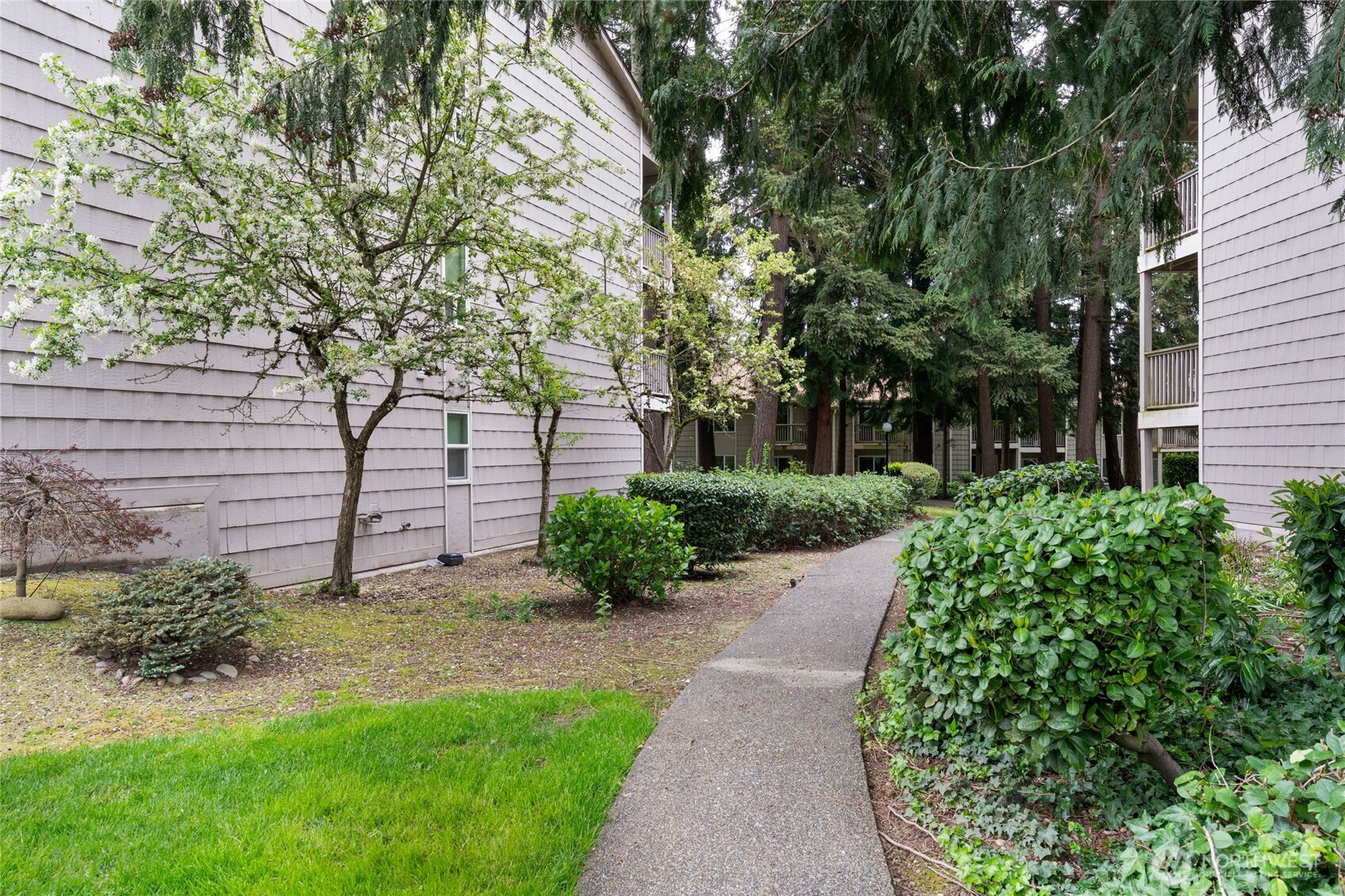 33030 17th Place C303 Property Photo 29