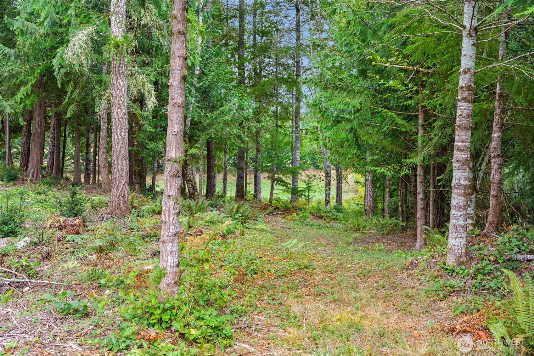 9048 Nw Holly Road Property Photo 32
