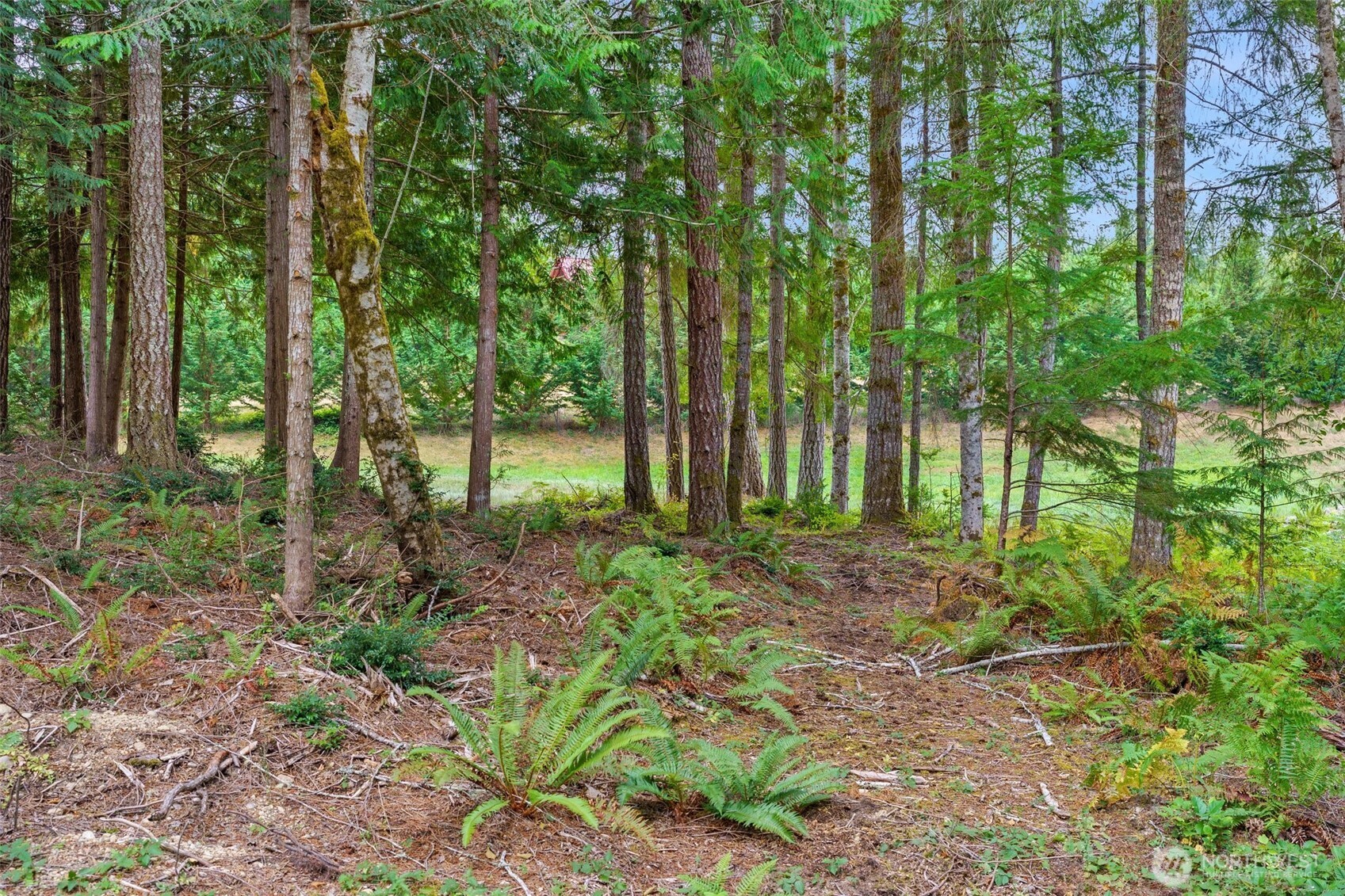 9048 Nw Holly Road Property Photo 34