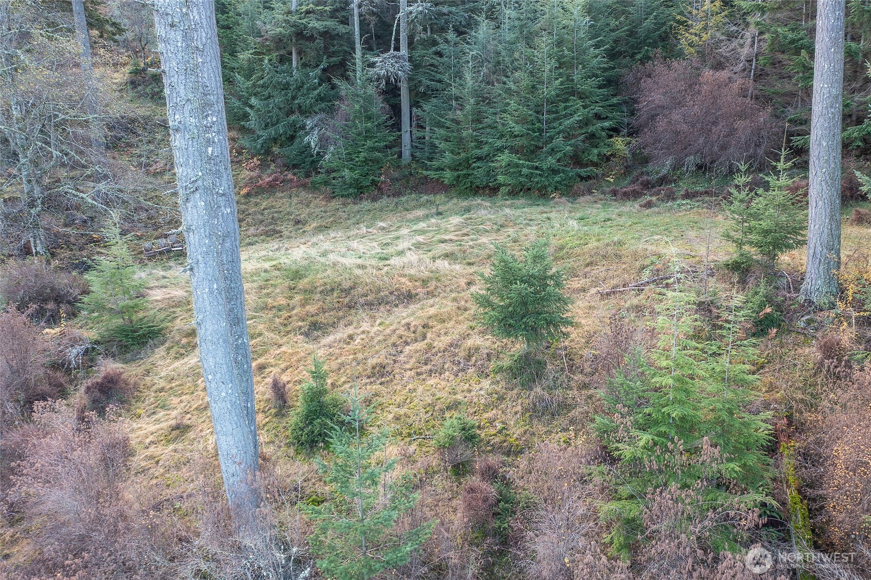 359 Georgia Strait Lane Property Photo 17