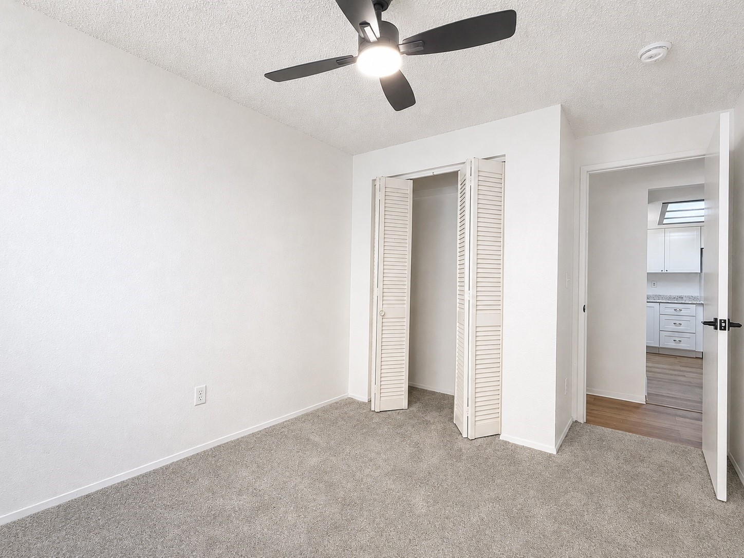 4610 31st Avenue Property Photo 24