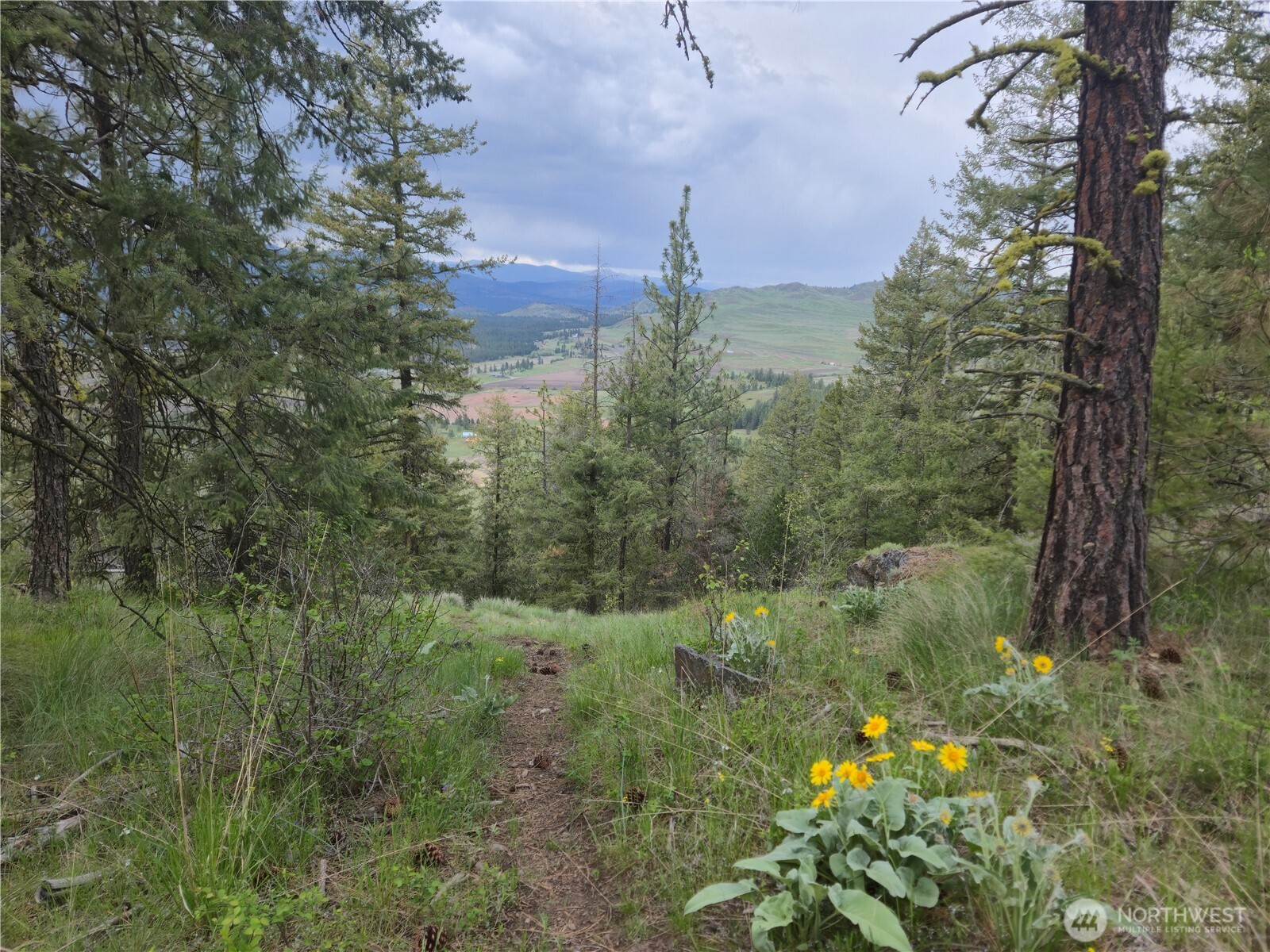 0 Fruitland Valley Road Property Photo 2