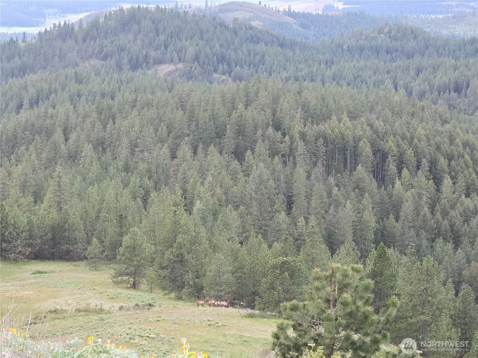 0 Fruitland Valley Road Property Photo 6