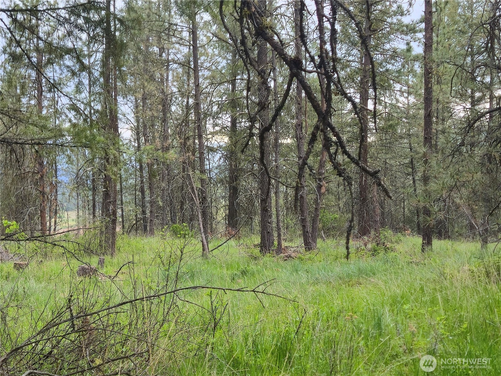 0 Fruitland Valley Road Property Photo 10
