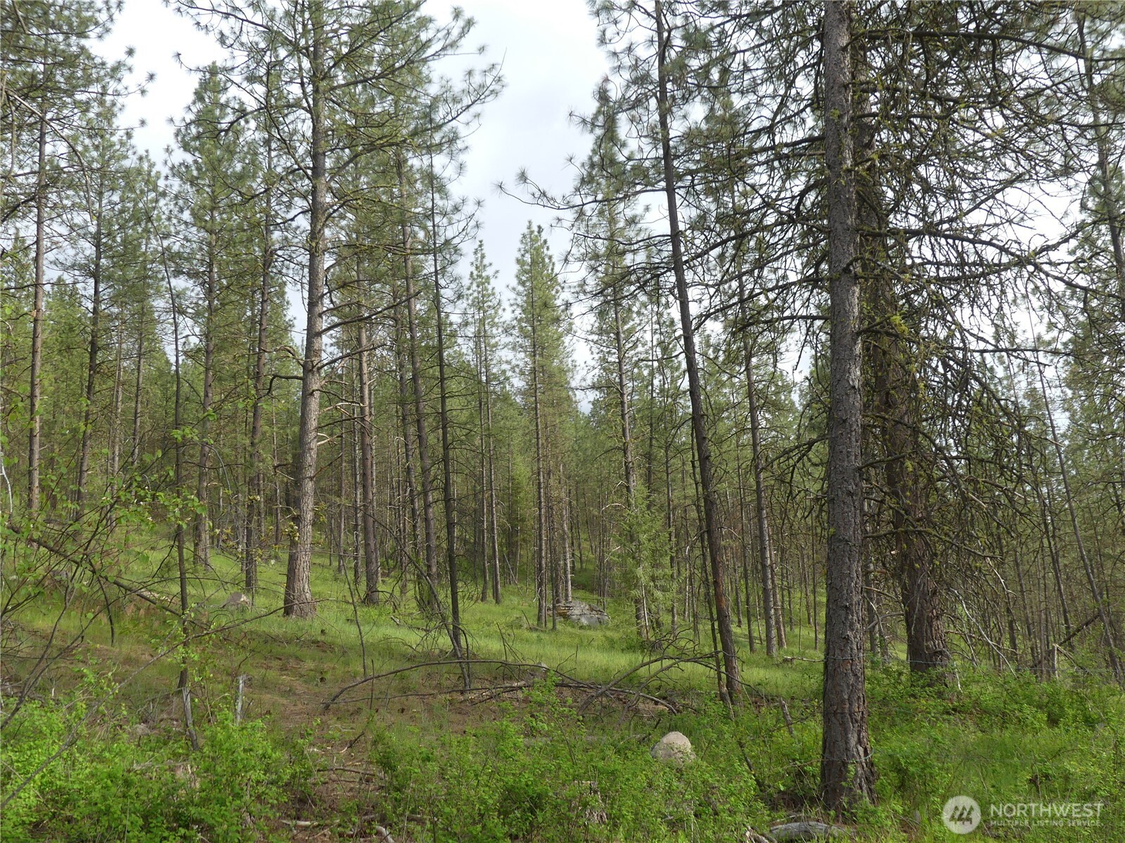 0 Fruitland Valley Road Property Photo 13