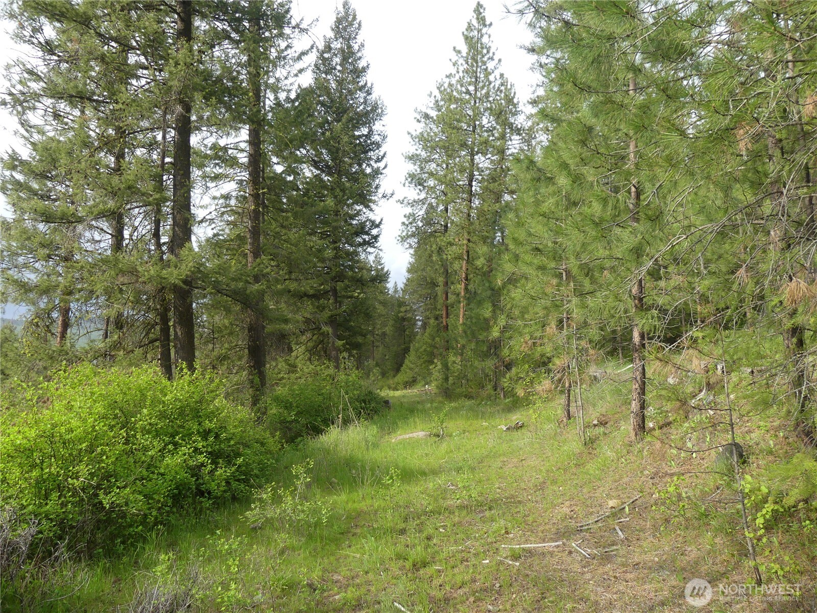 0 Fruitland Valley Road Property Photo 16