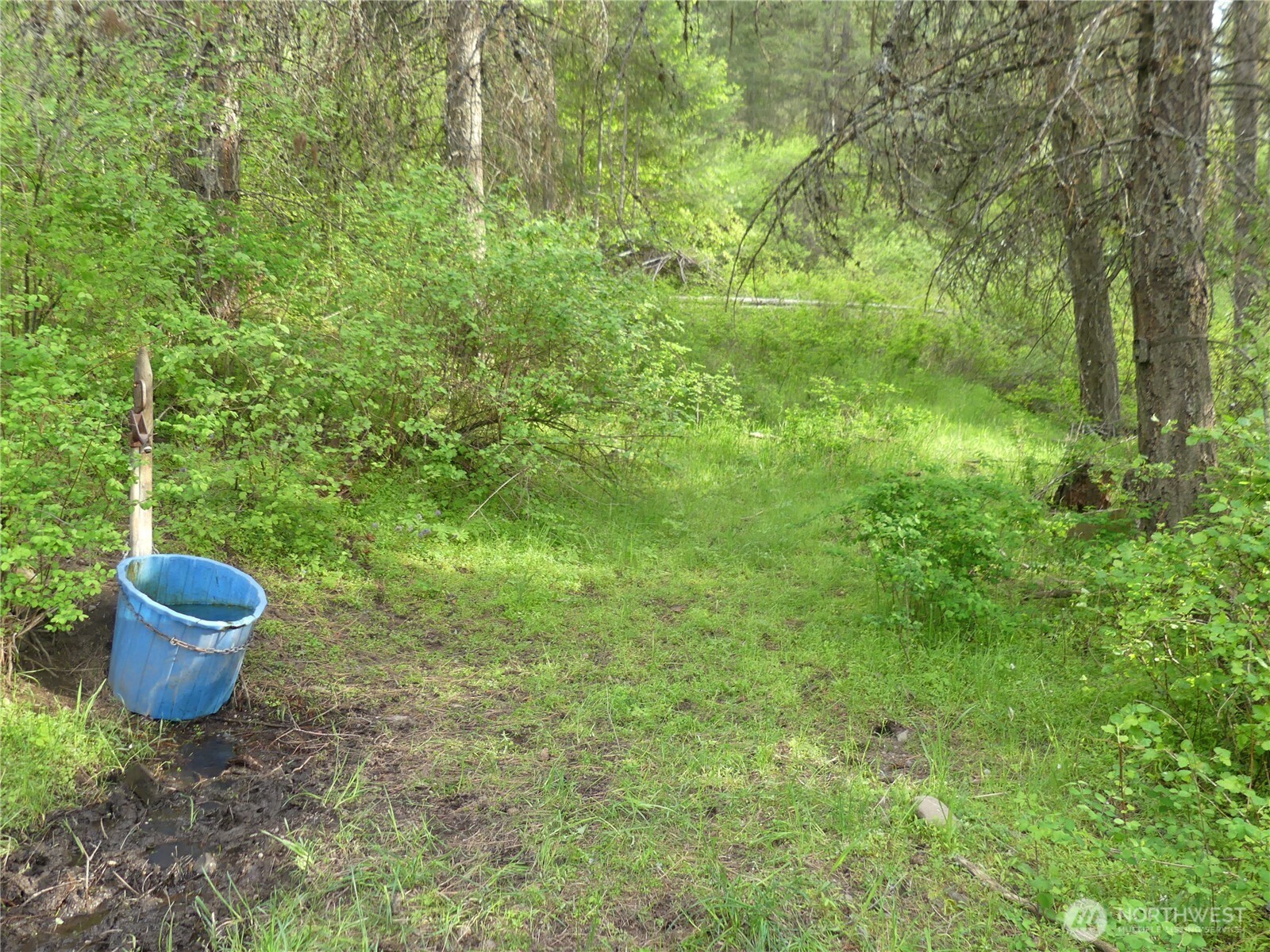 0 Fruitland Valley Road Property Photo 19