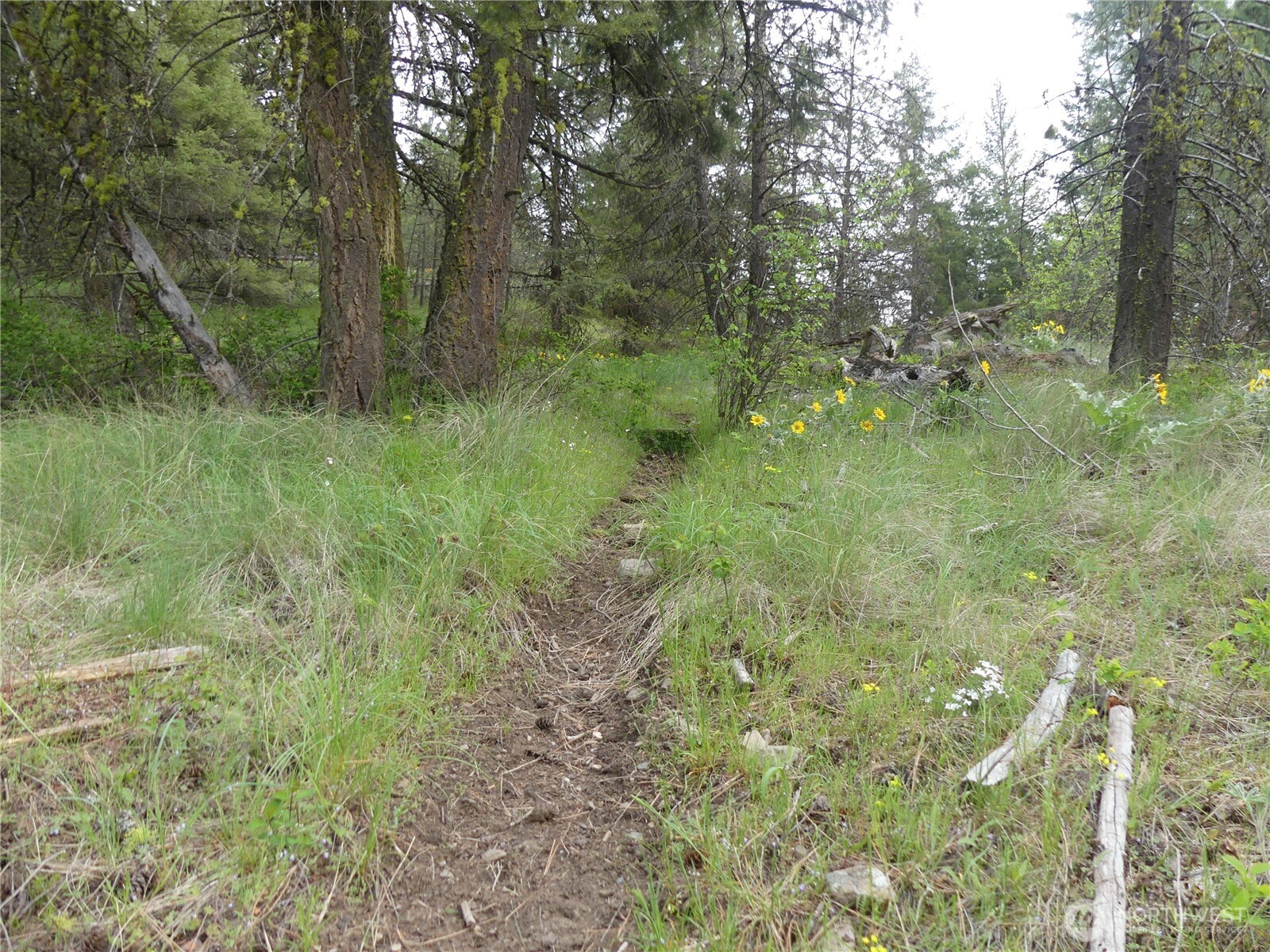 0 Fruitland Valley Road Property Photo 22