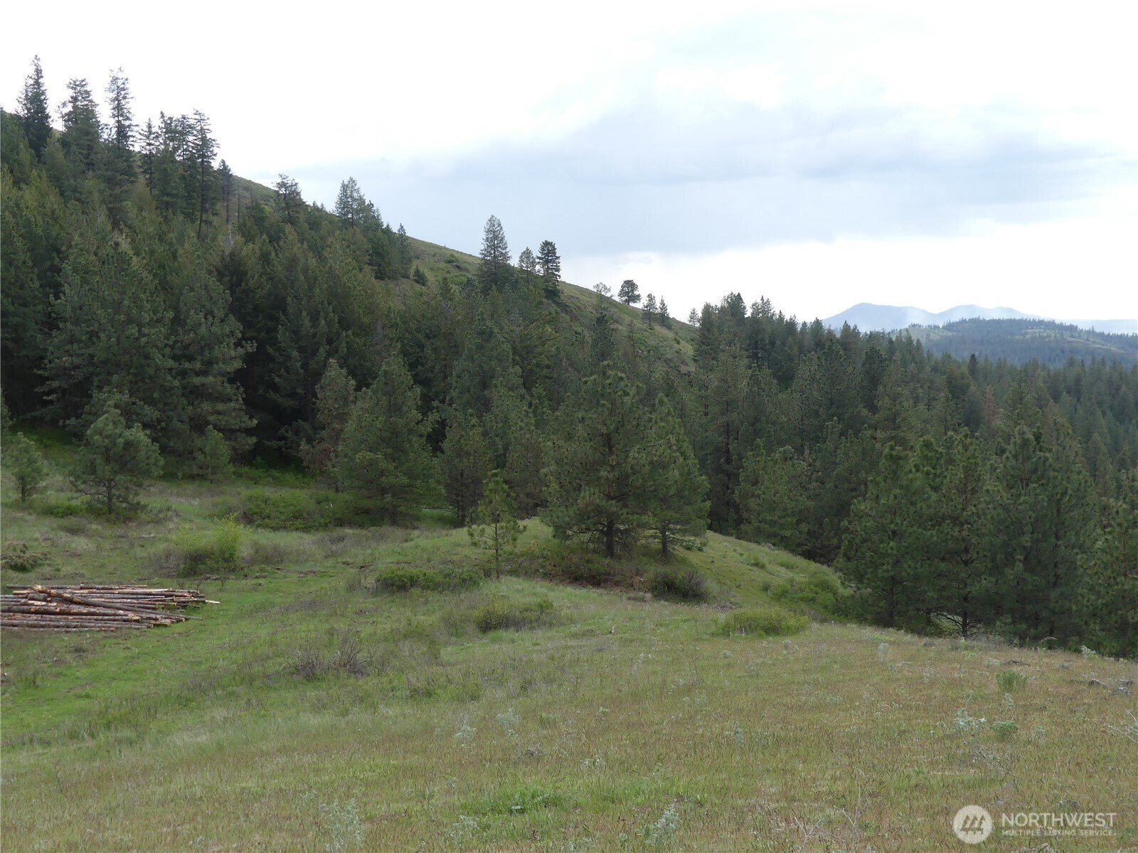 0 Fruitland Valley Road Property Photo 25