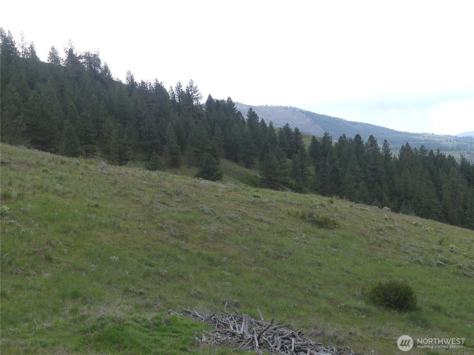 0 Fruitland Valley Road Property Photo 26