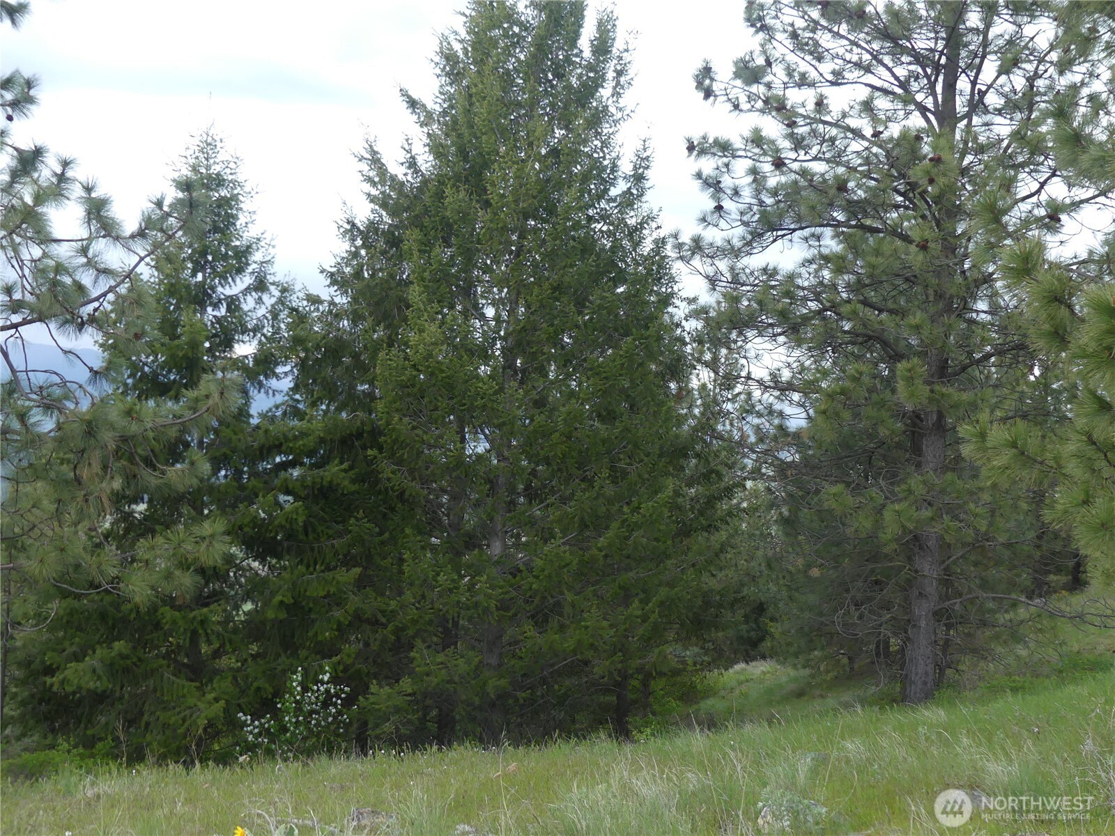 0 Fruitland Valley Road Property Photo 31