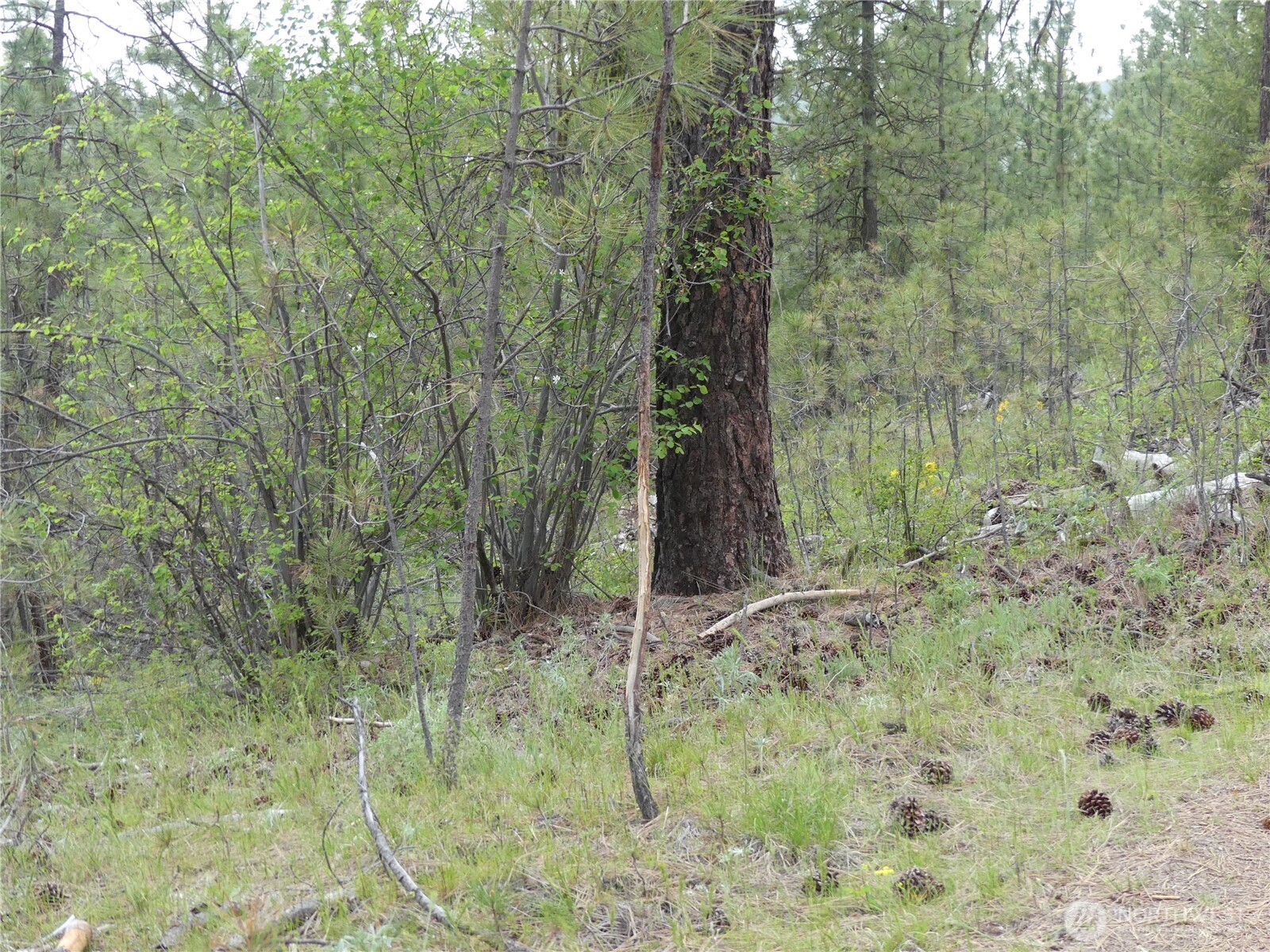 0 Fruitland Valley Road Property Photo 35