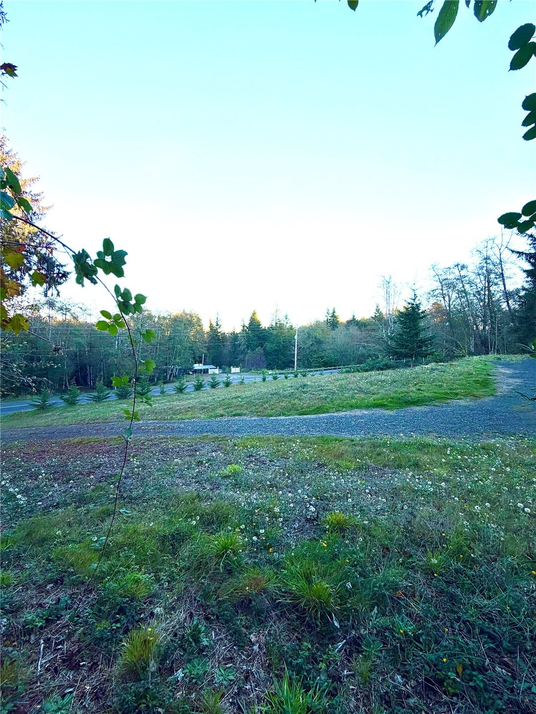 290 State Route 6 Property Photo 35