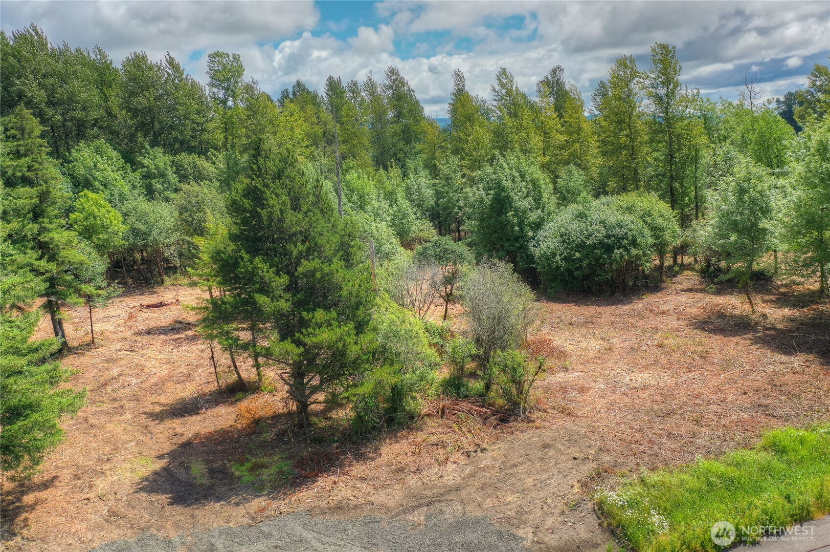 0 Old Wentzel Slough Road Property Photo 8