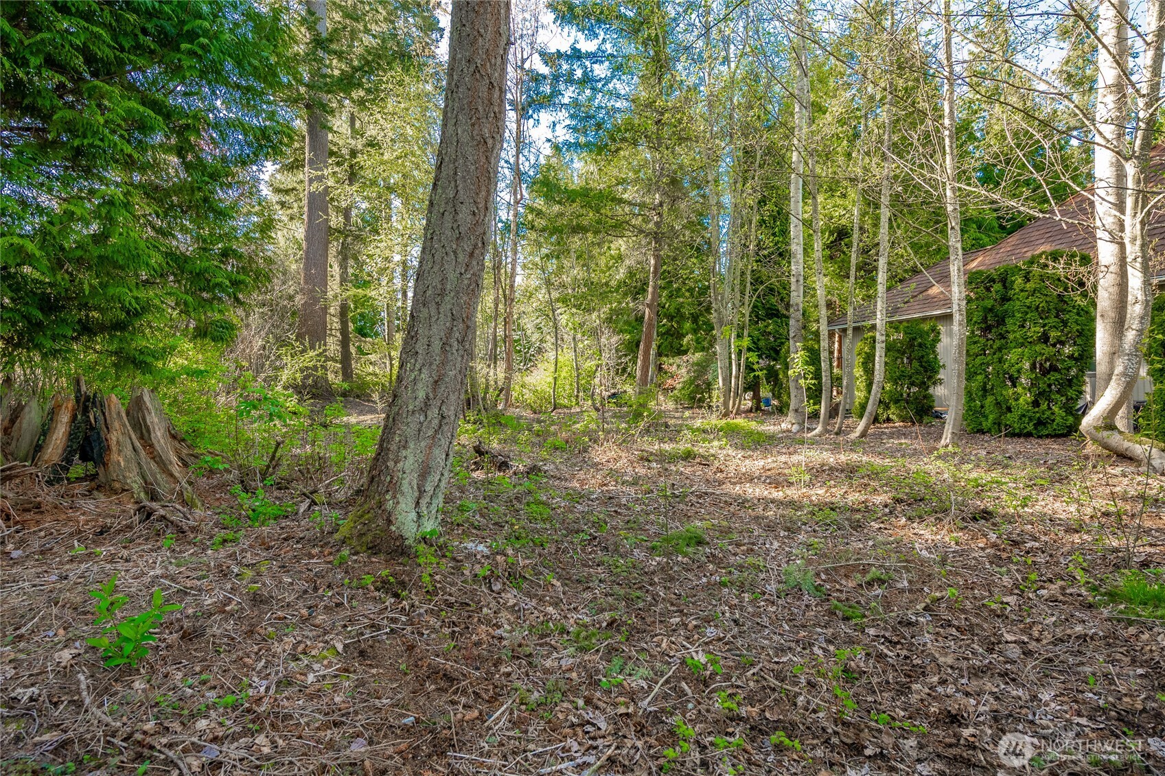 8647 Great Horned Owl Lane Property Photo 6