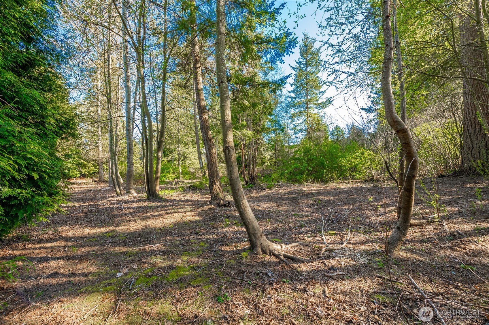 8647 Great Horned Owl Lane Property Photo 9
