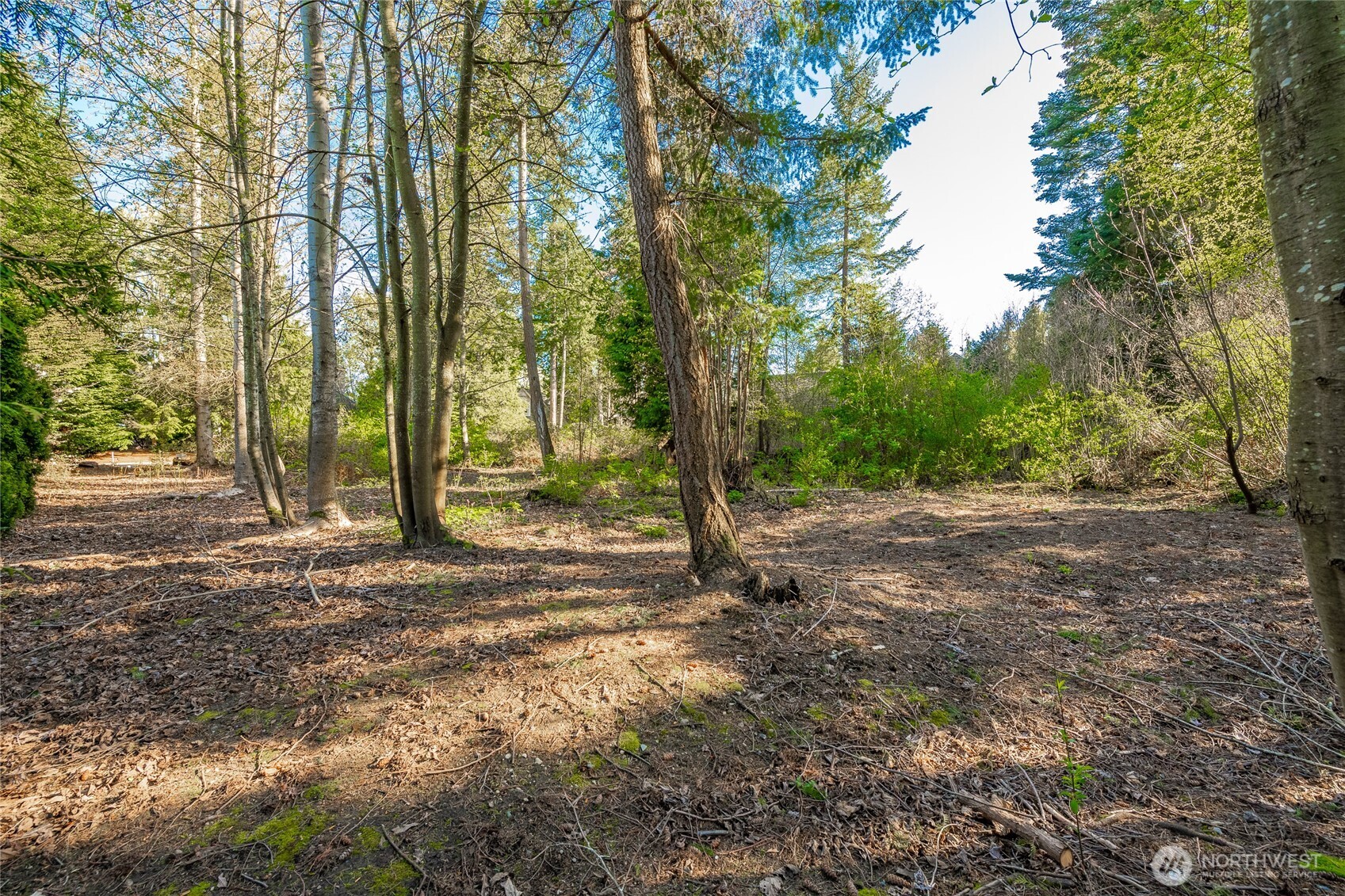 8647 Great Horned Owl Lane Property Photo 10