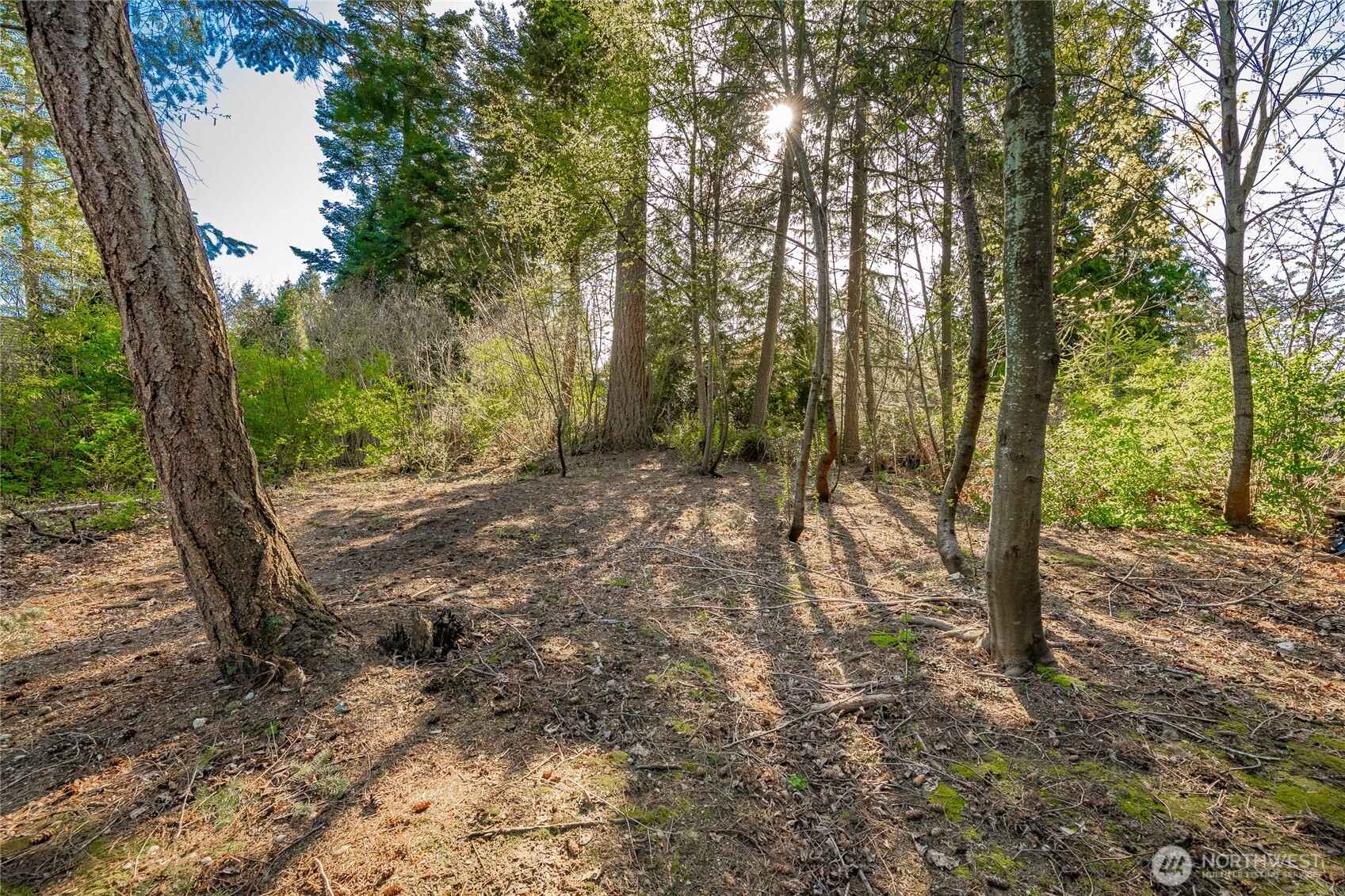 8647 Great Horned Owl Lane Property Photo 11