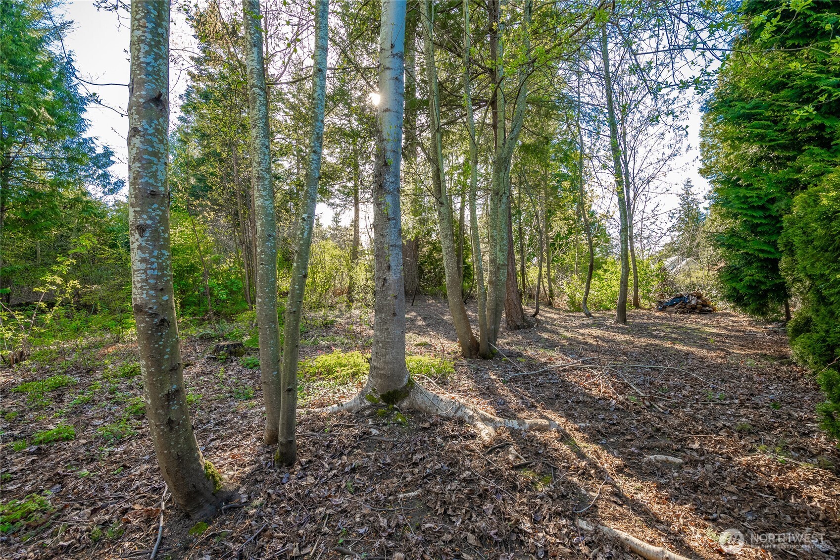 8647 Great Horned Owl Lane Property Photo 12
