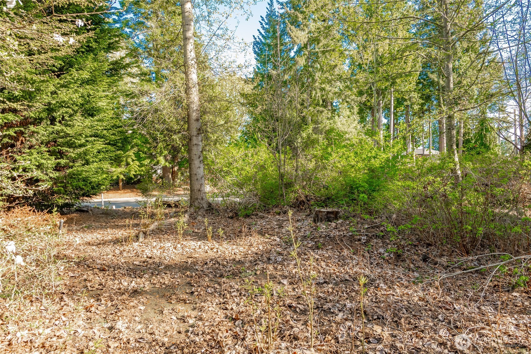 8647 Great Horned Owl Lane Property Photo 13