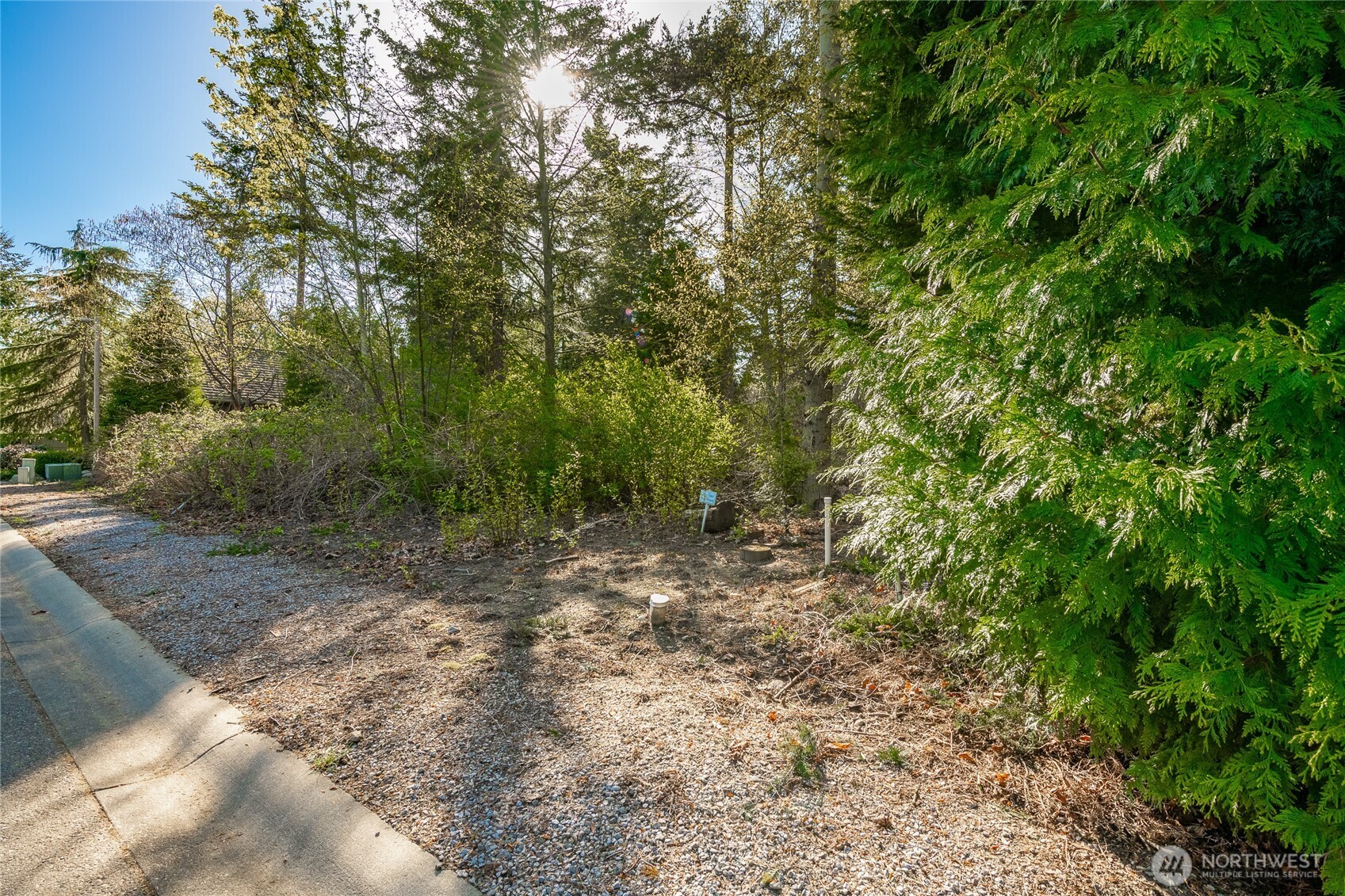 8647 Great Horned Owl Lane Property Photo 14