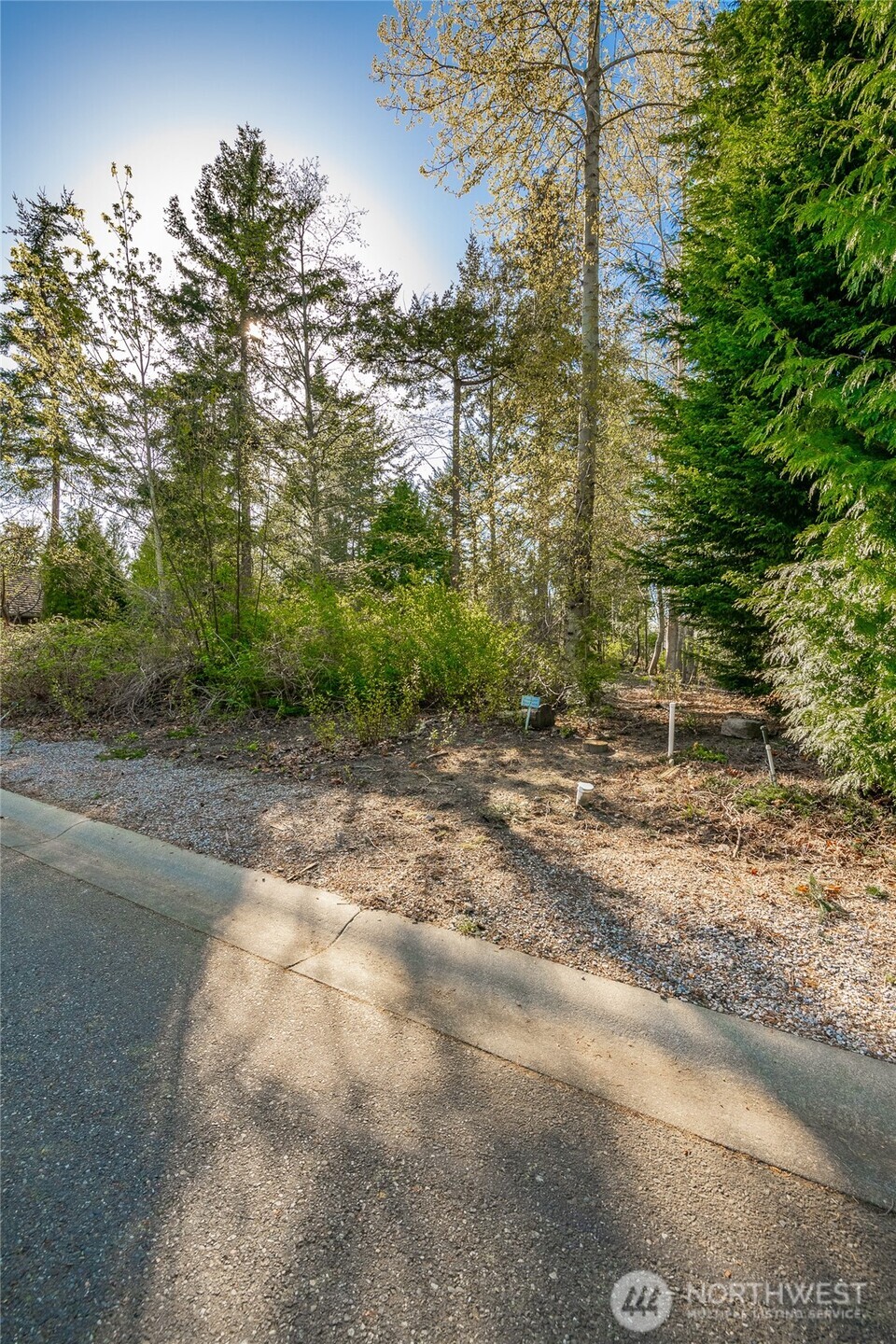 8647 Great Horned Owl Lane Property Photo 15