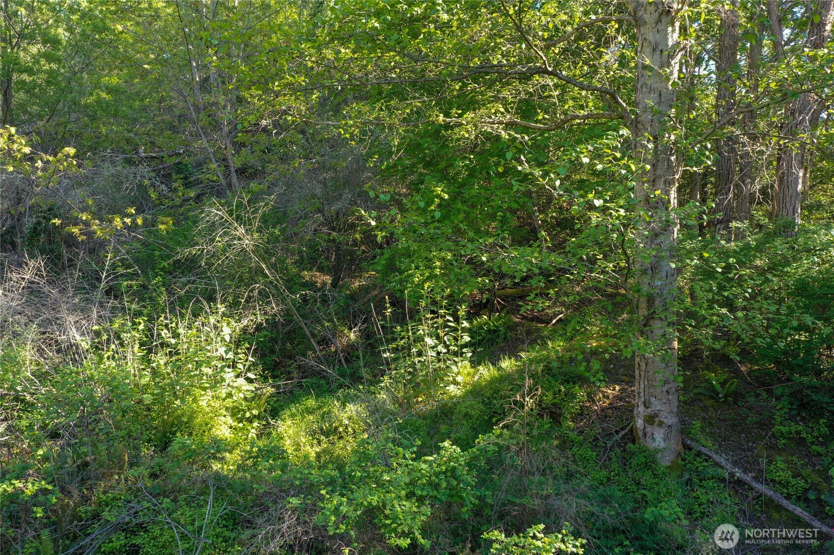 0 Nka N Street Property Photo 6