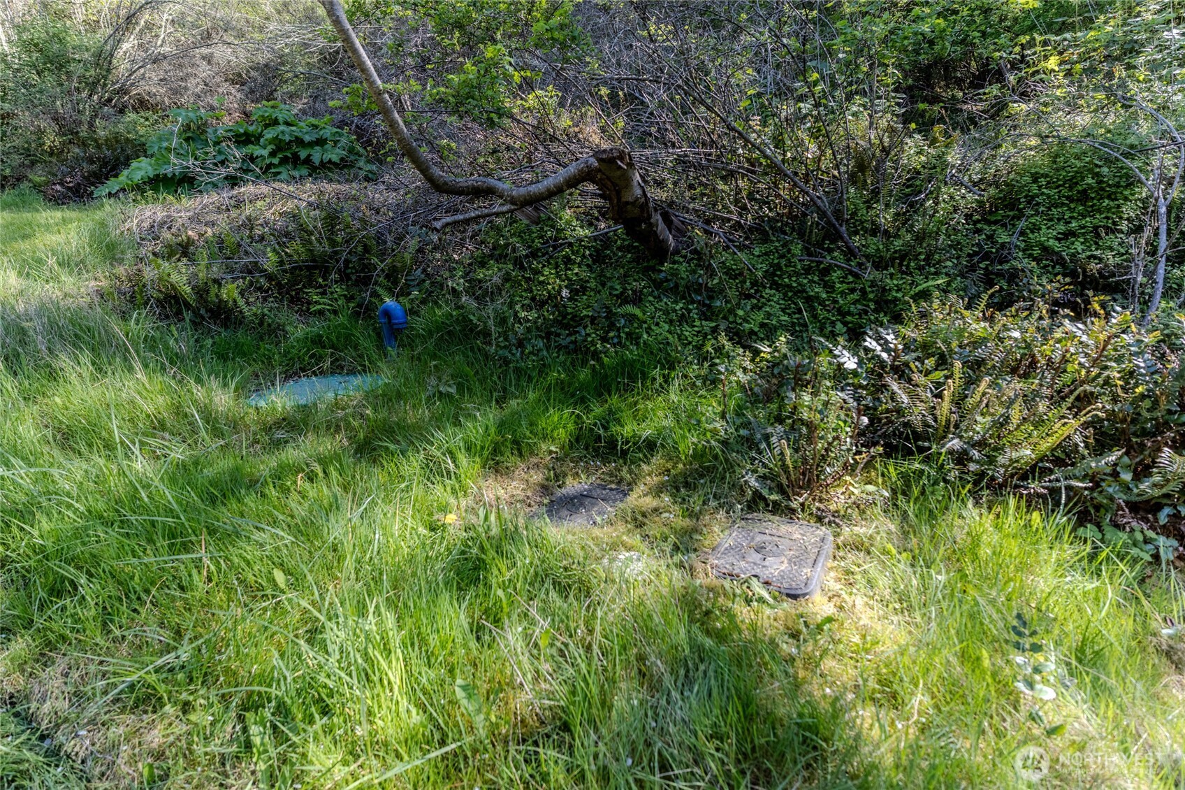 0 Nka N Street Property Photo 10