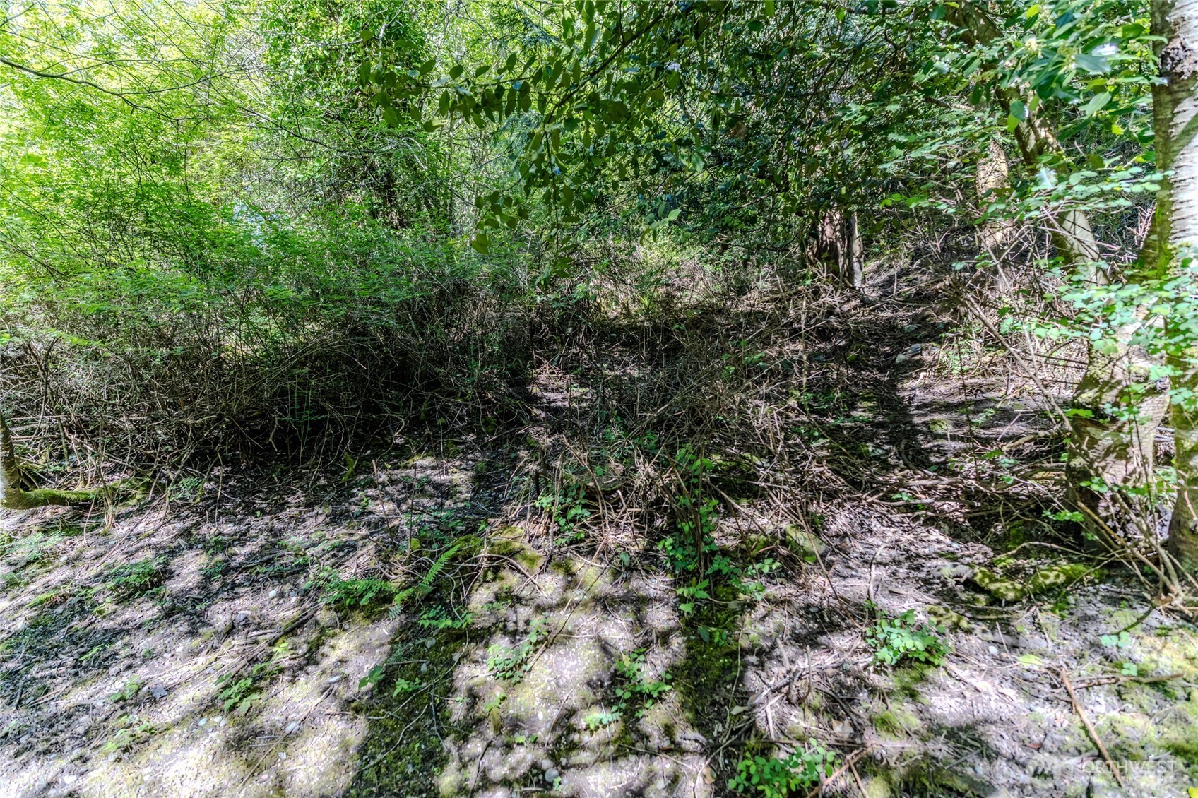 0 Nka N Street Property Photo 14