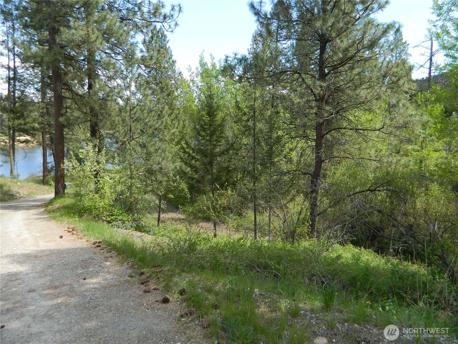 46 Little Bear Lane Property Photo 10