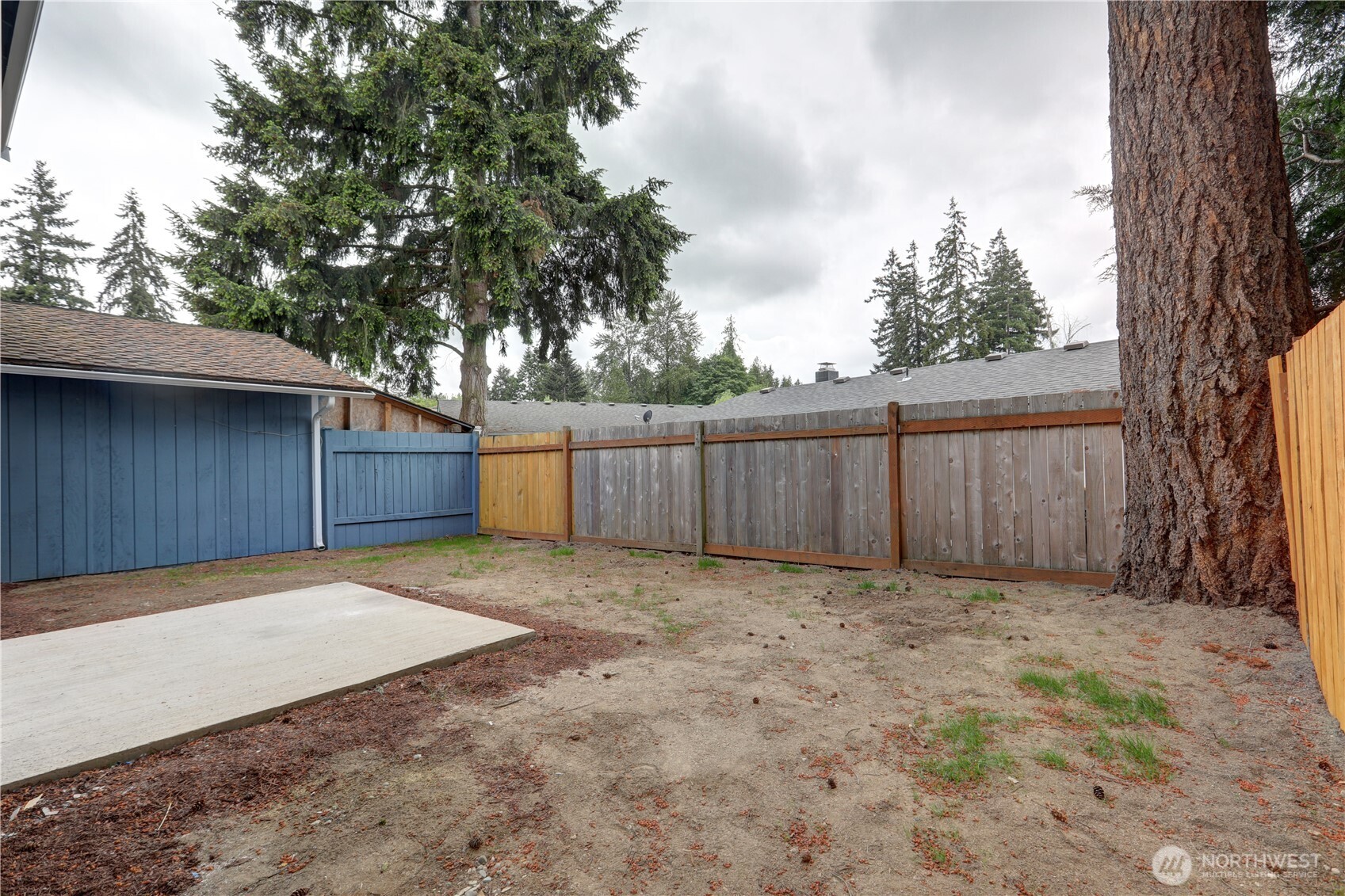 11816 Se 318th Place Property Photo 8