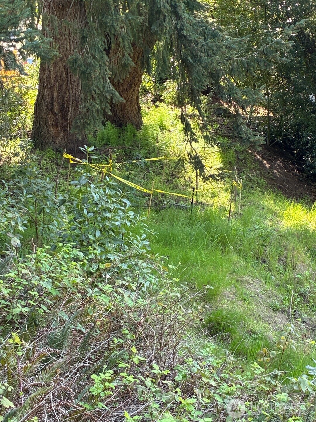 17810 Olympic View Drive Property Photo 8