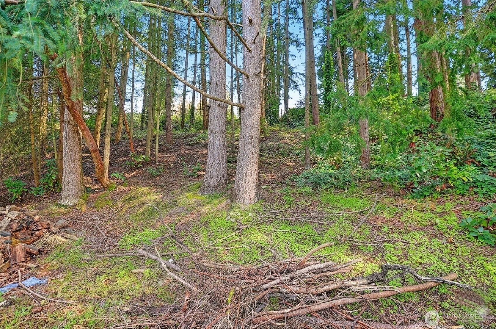 17810 Olympic View Drive Property Photo 11