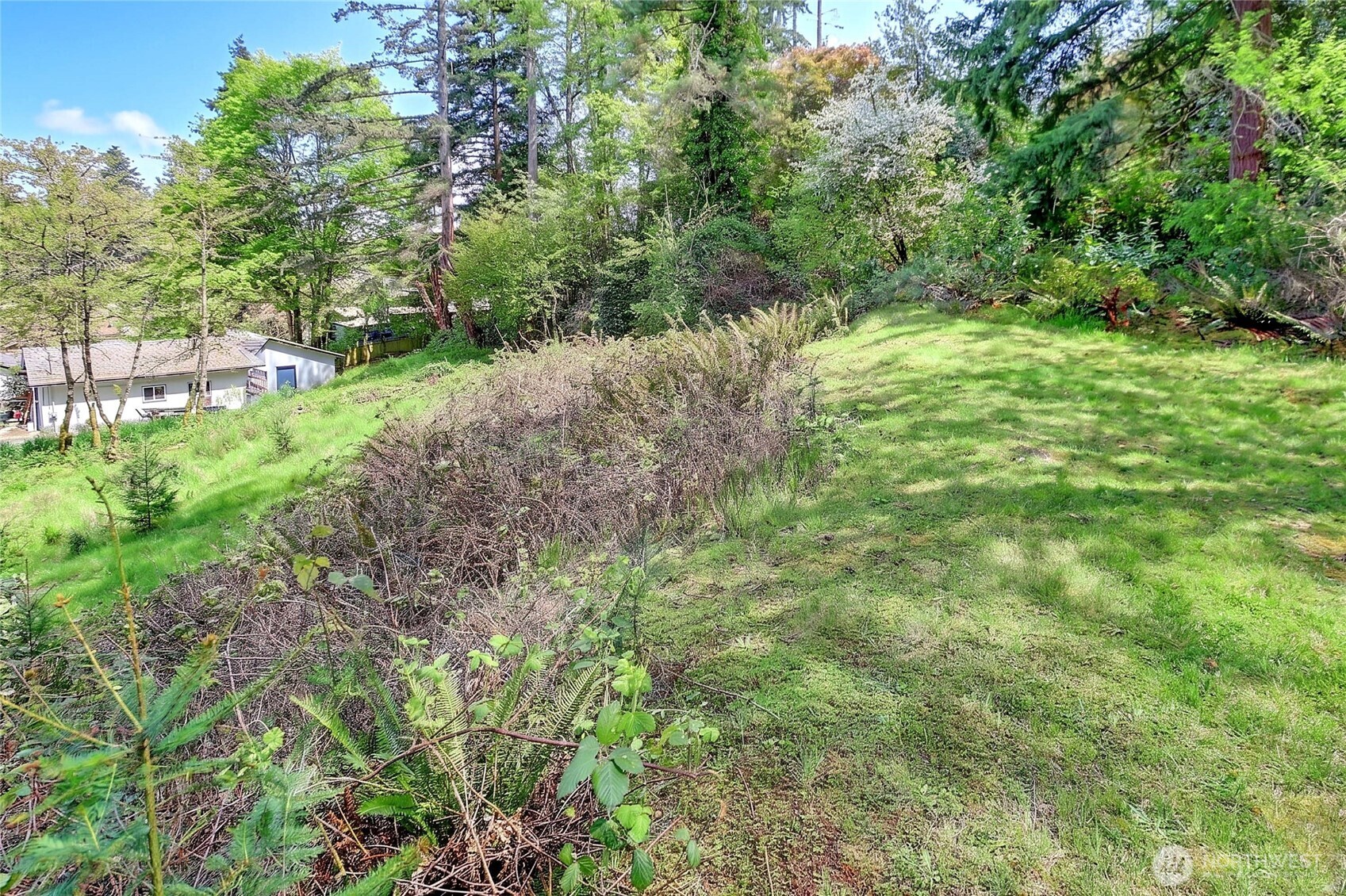 17810 Olympic View Drive Property Photo 12