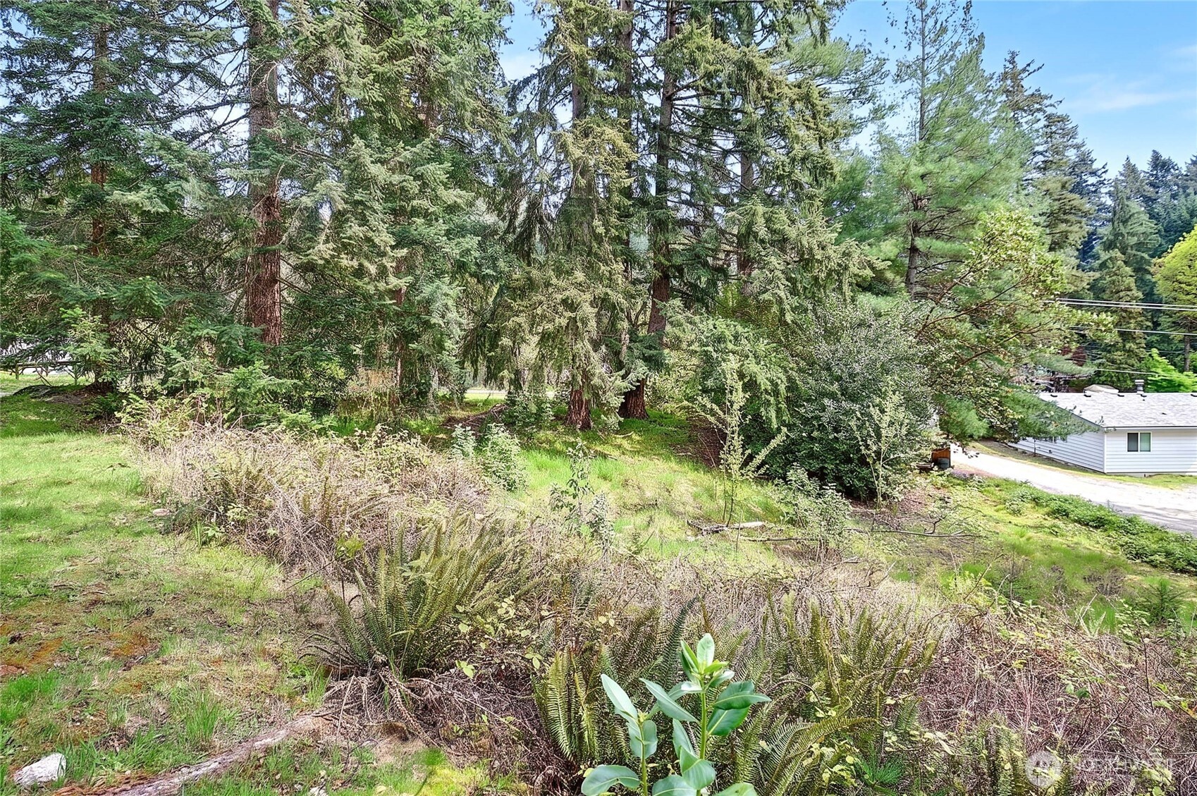 17810 Olympic View Drive Property Photo 14