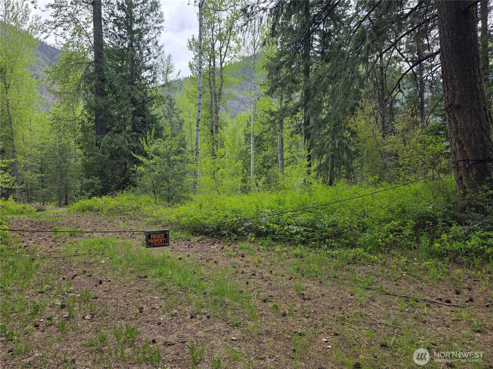 98 Cassel Way Property Photo 3