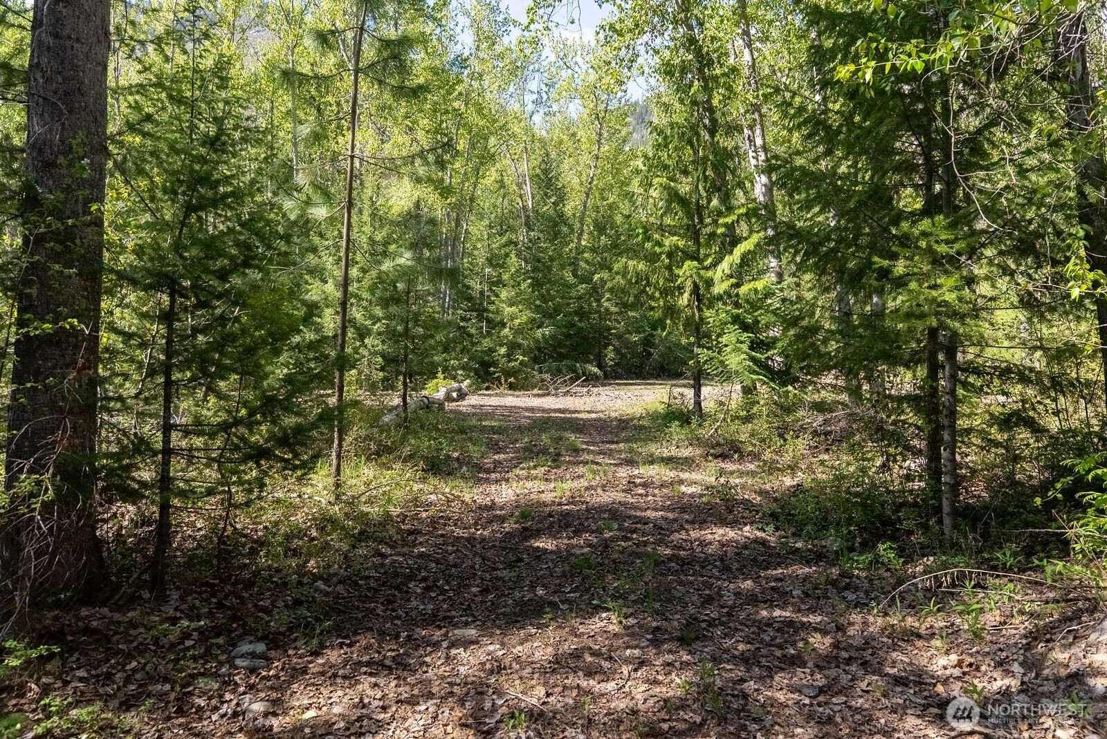 98 Cassel Way Property Photo 11